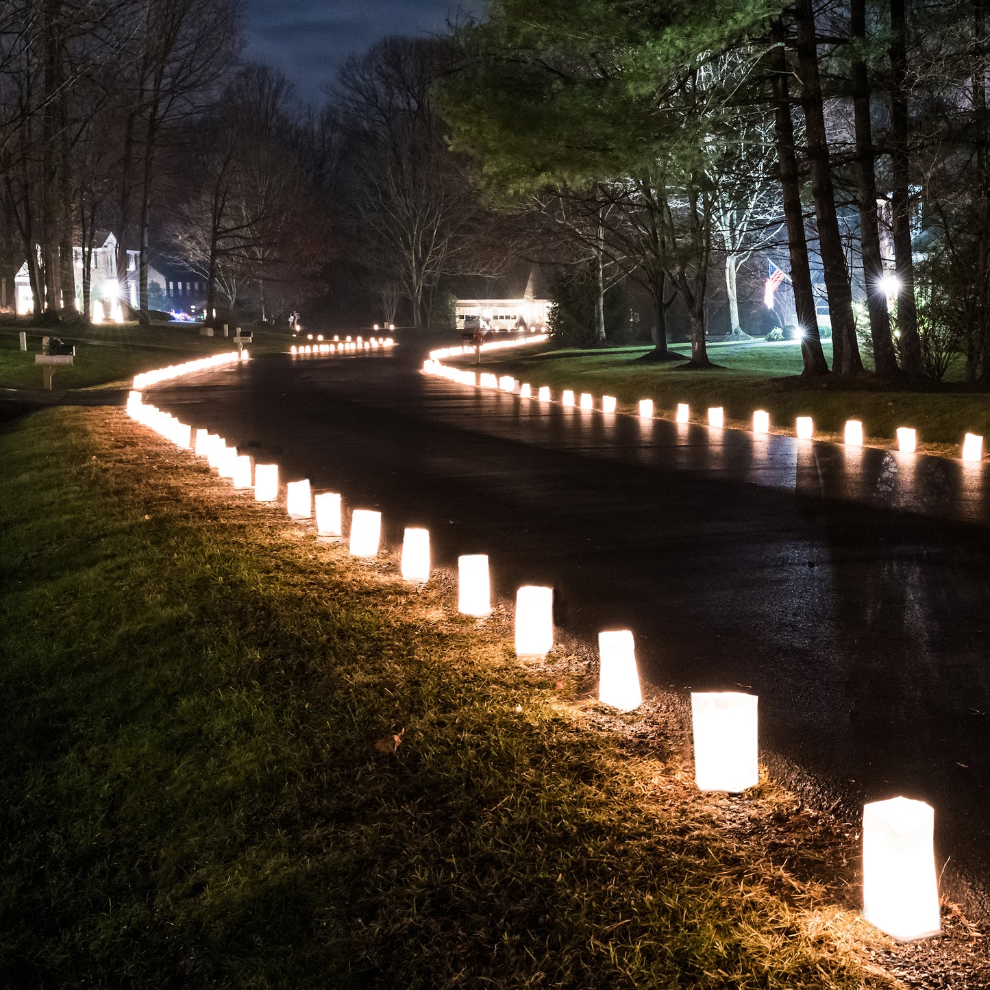 Paper Luminaria Bags - White