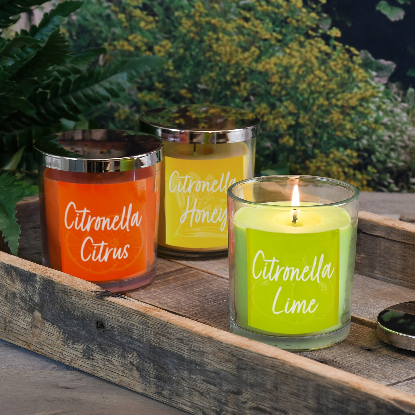 Scented Wax Candles, Citronella Collection - Set of 3