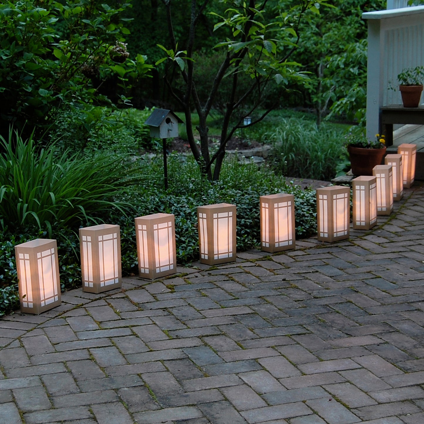 Plastic Luminaria Lanterns - Set of 10