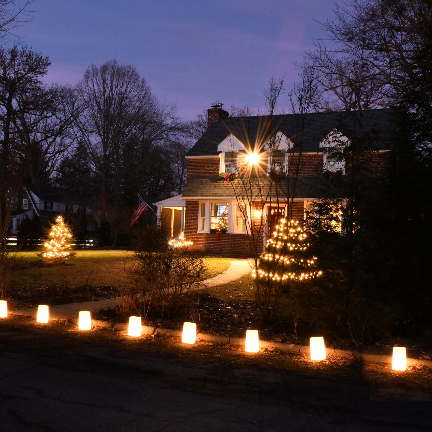 Electric LED Luminaria Kit - Set of 10