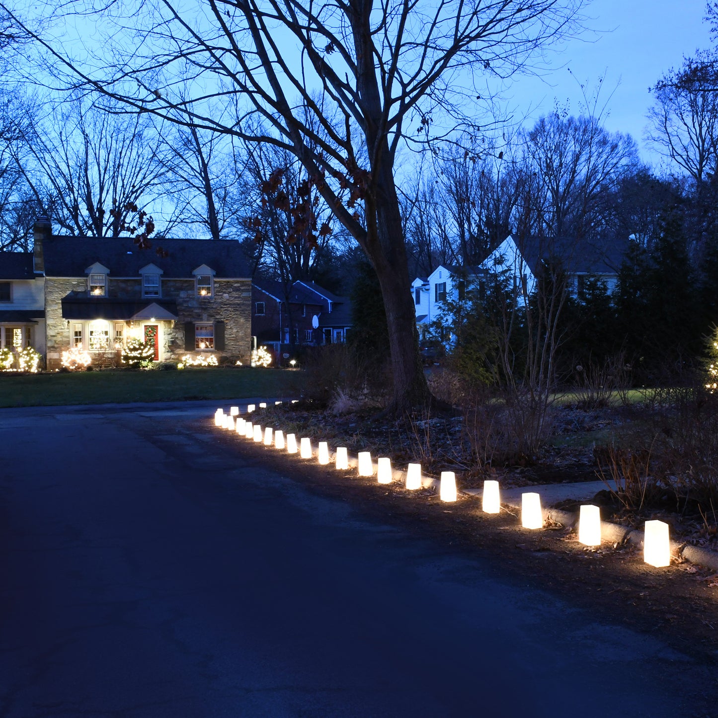 Electric LED Luminaria Kit - Set of 10
