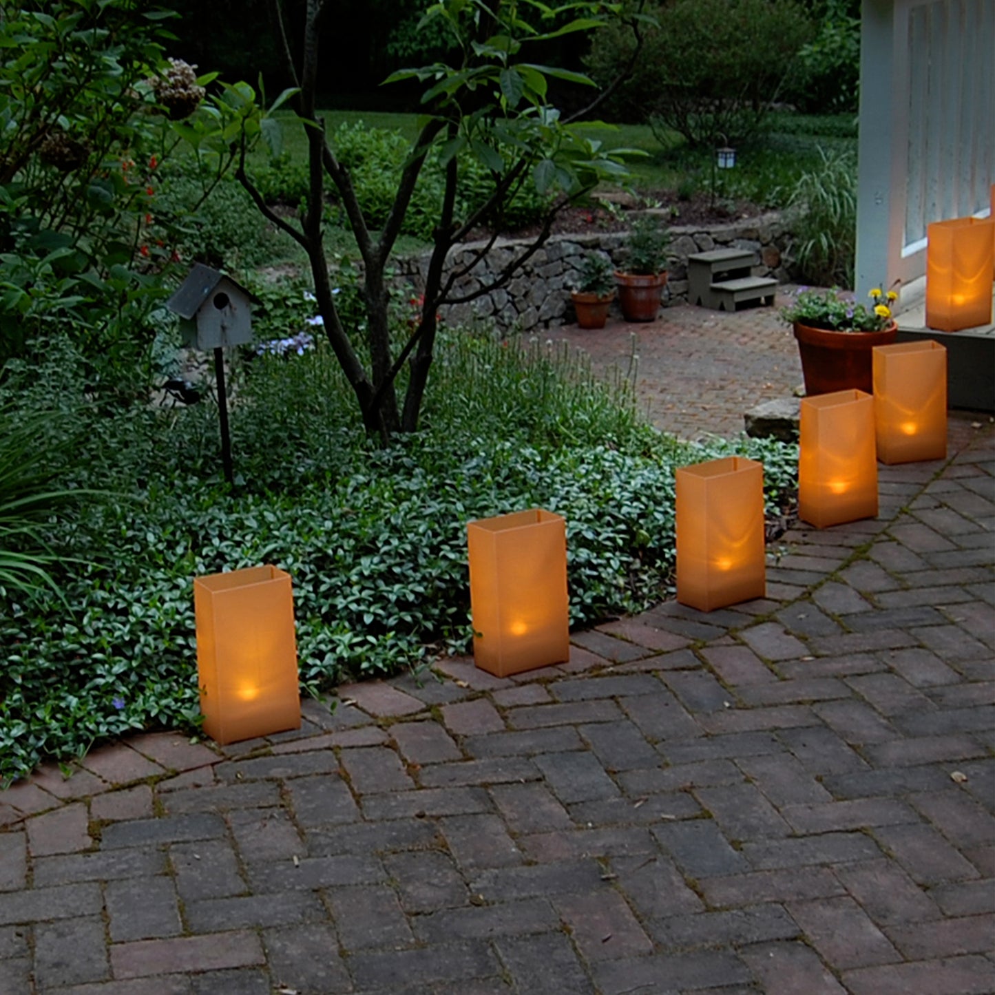 Solar-Powered Luminaria Kit - Set of 6
