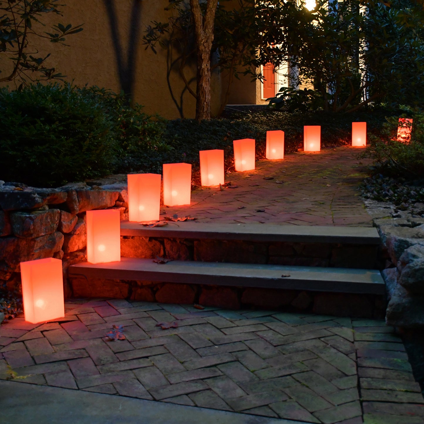Electric Luminaria Kit - Set of 10