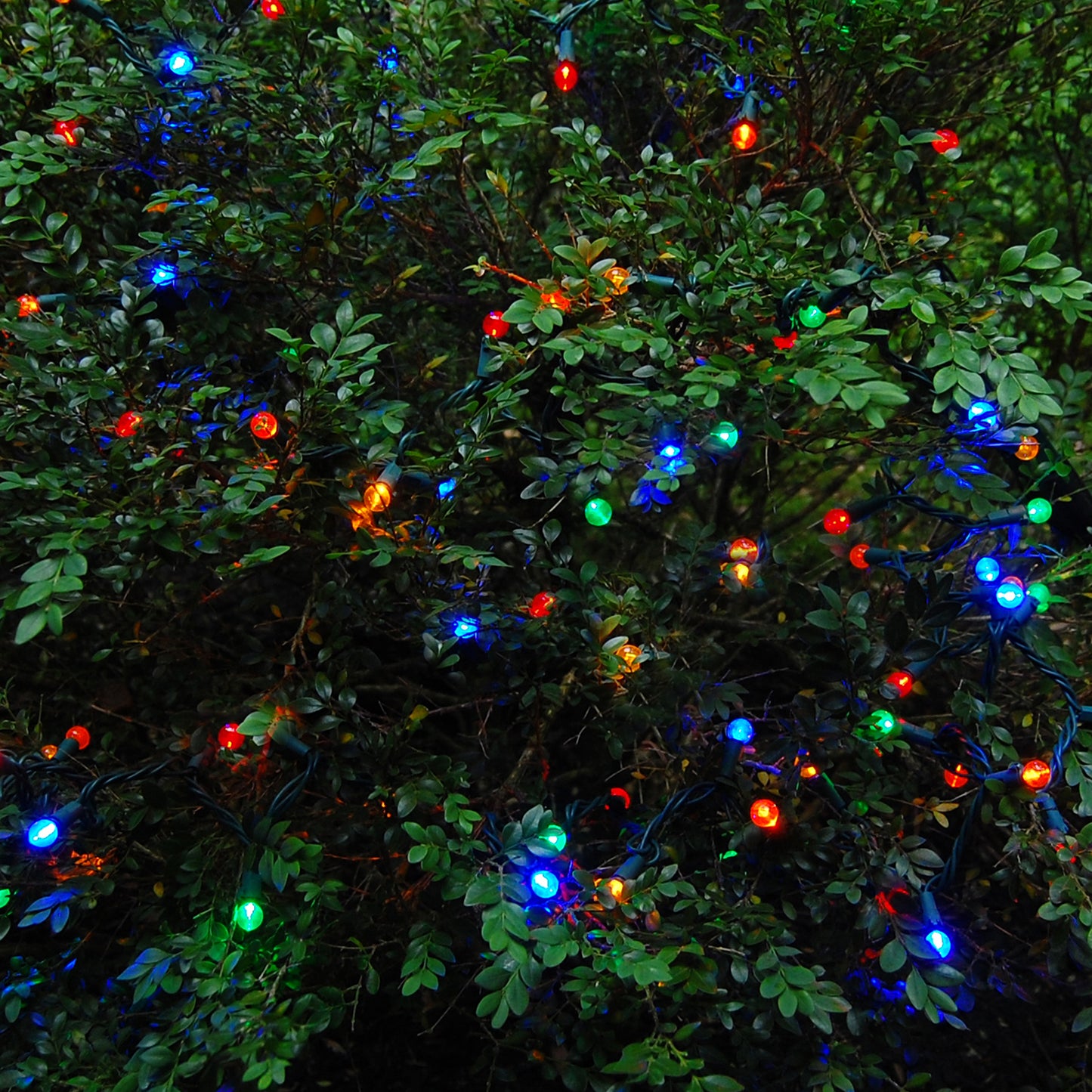 Electric String Lights - Plastic Globes