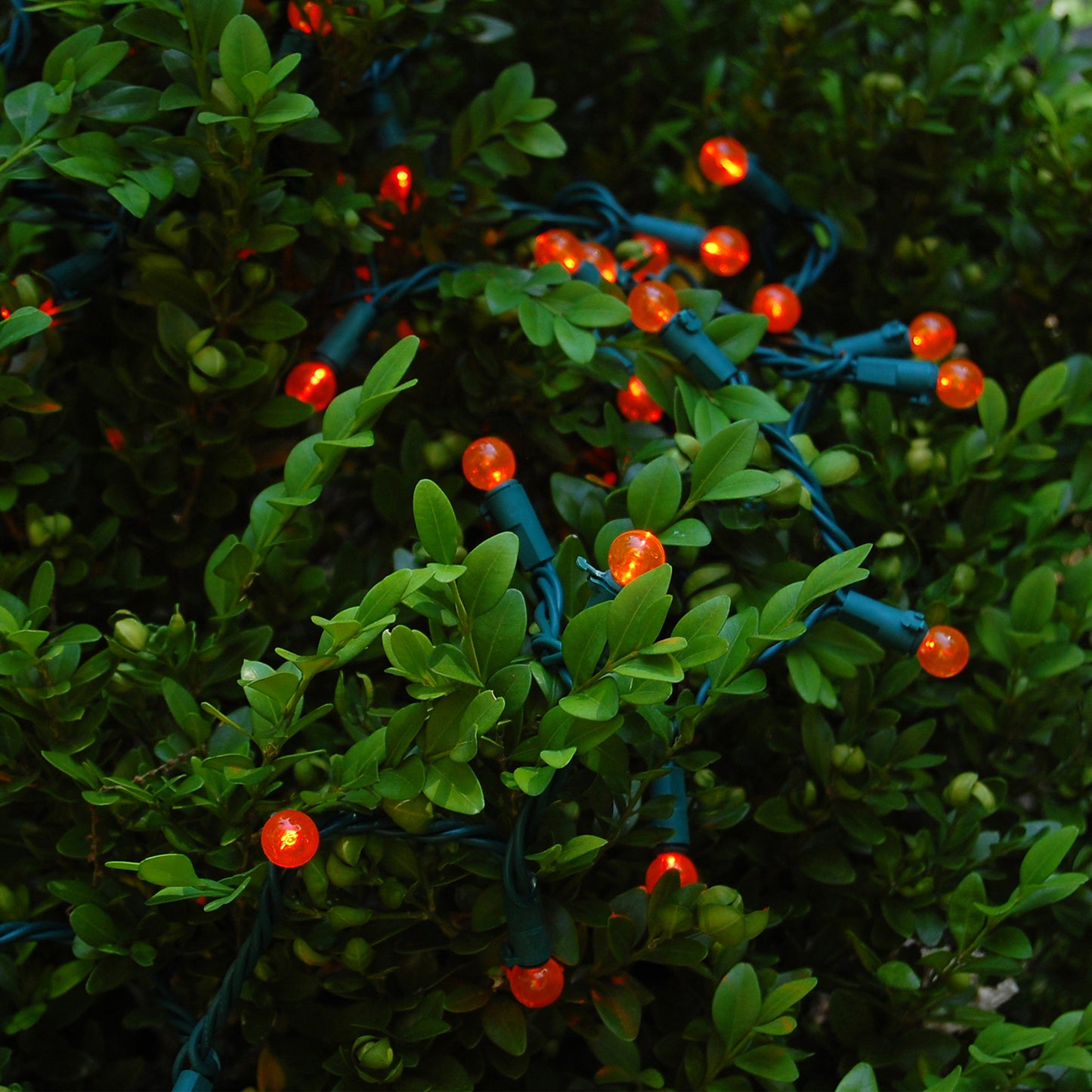Electric String Lights with Mini Plastic Globes