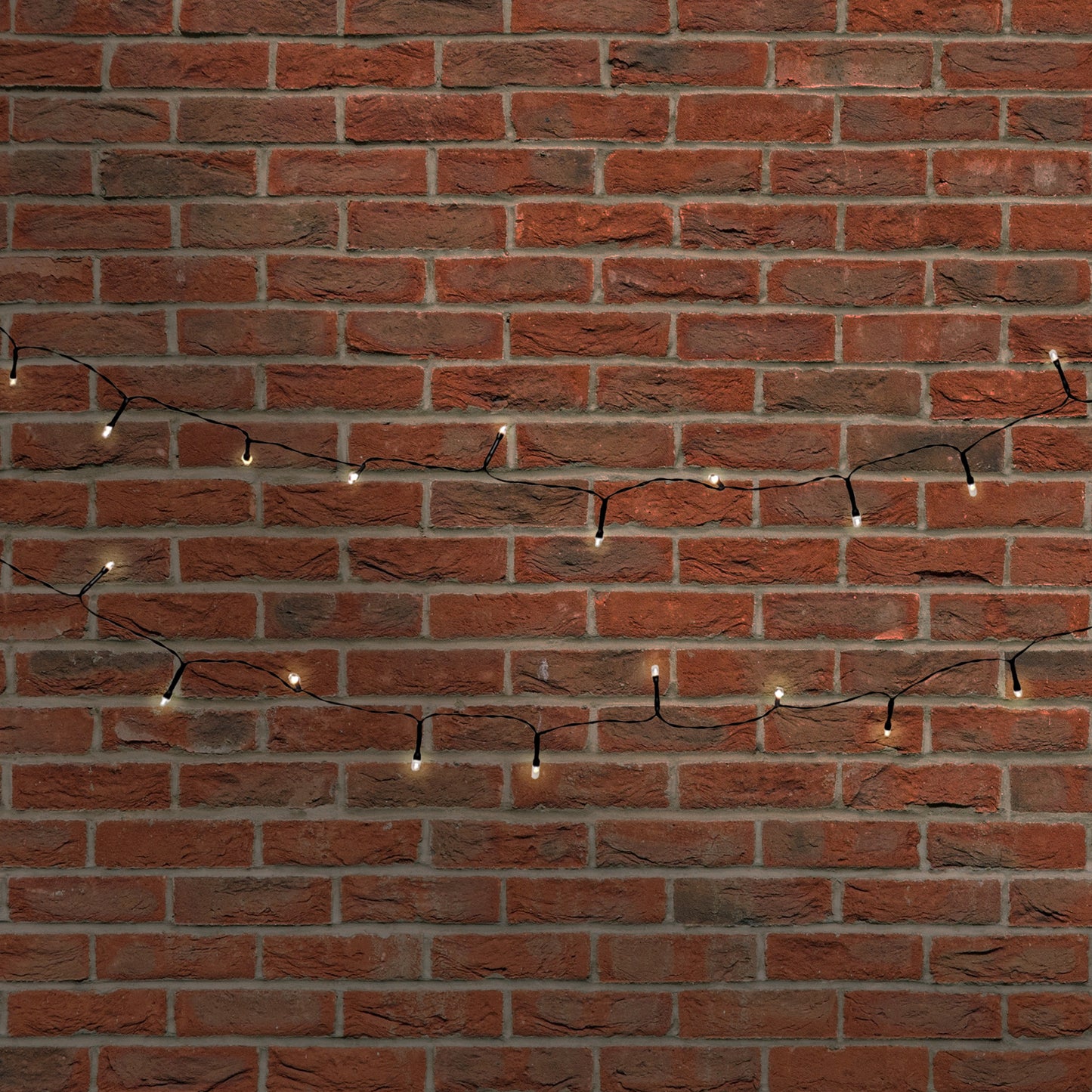 Solar-Powered Mini String Lights with 100 Warm White Bulbs