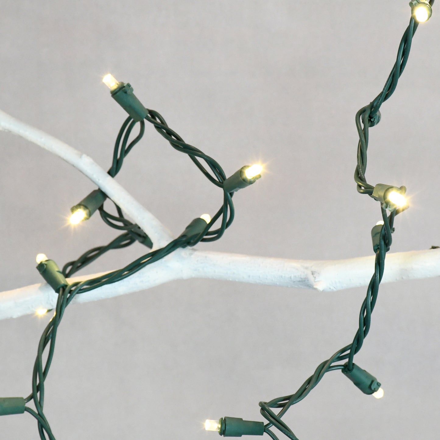 Electric LED Mini String Lights with 70 Bulbs