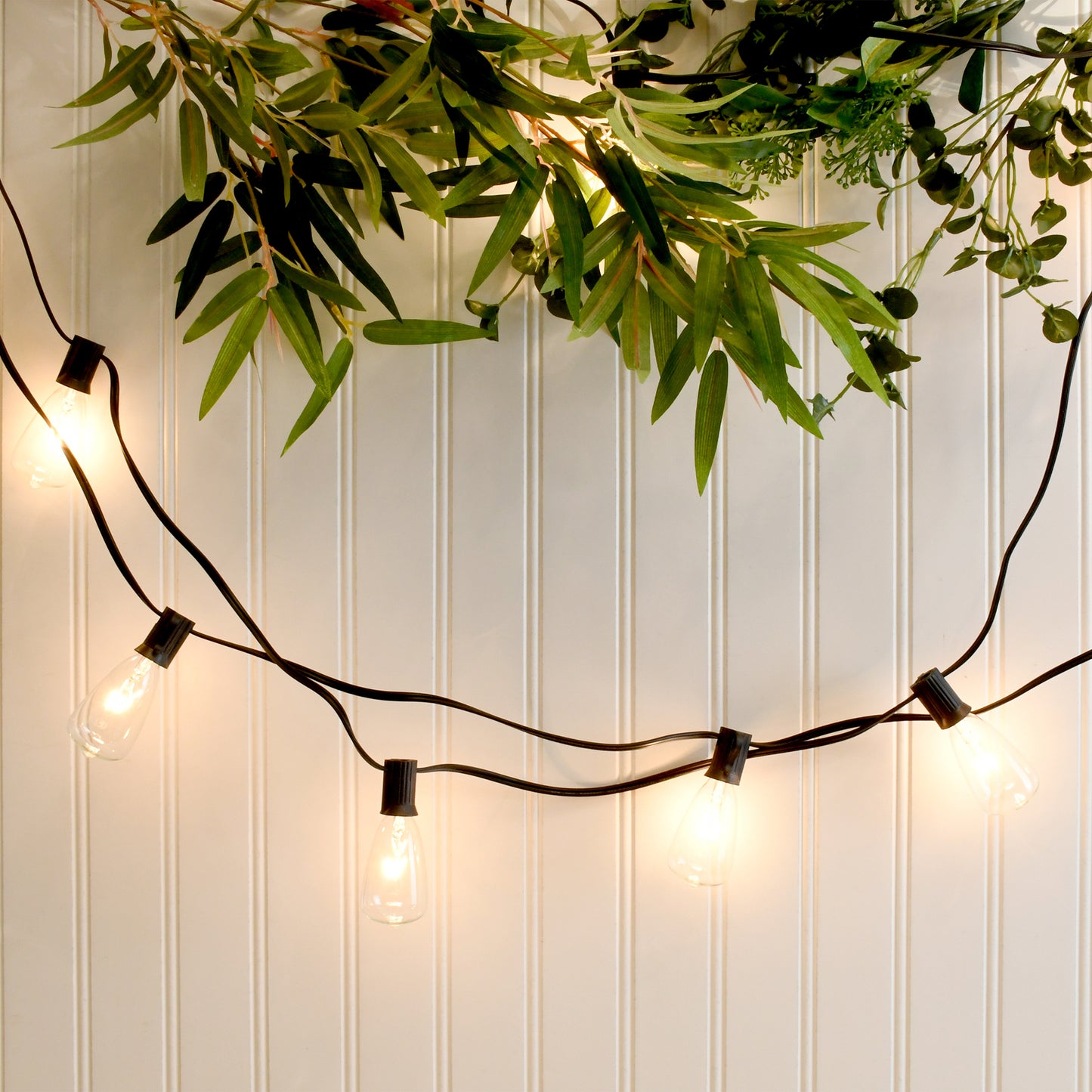 Electric String Lights with 10 Edison Bulbs
