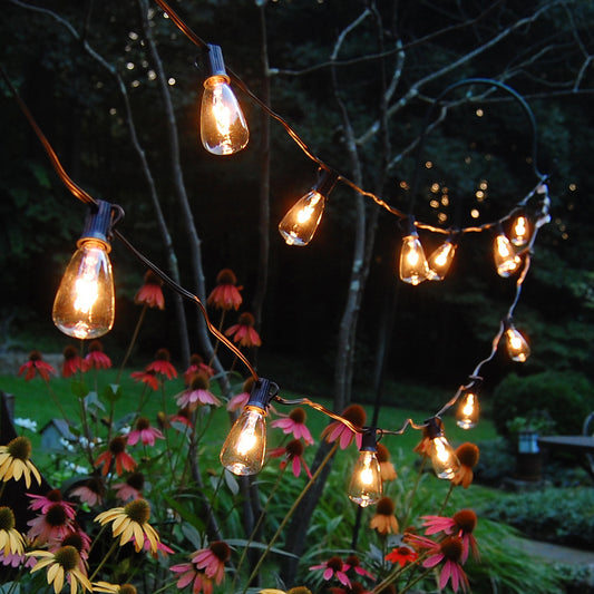 Electric String Lights with 10 Edison Bulbs