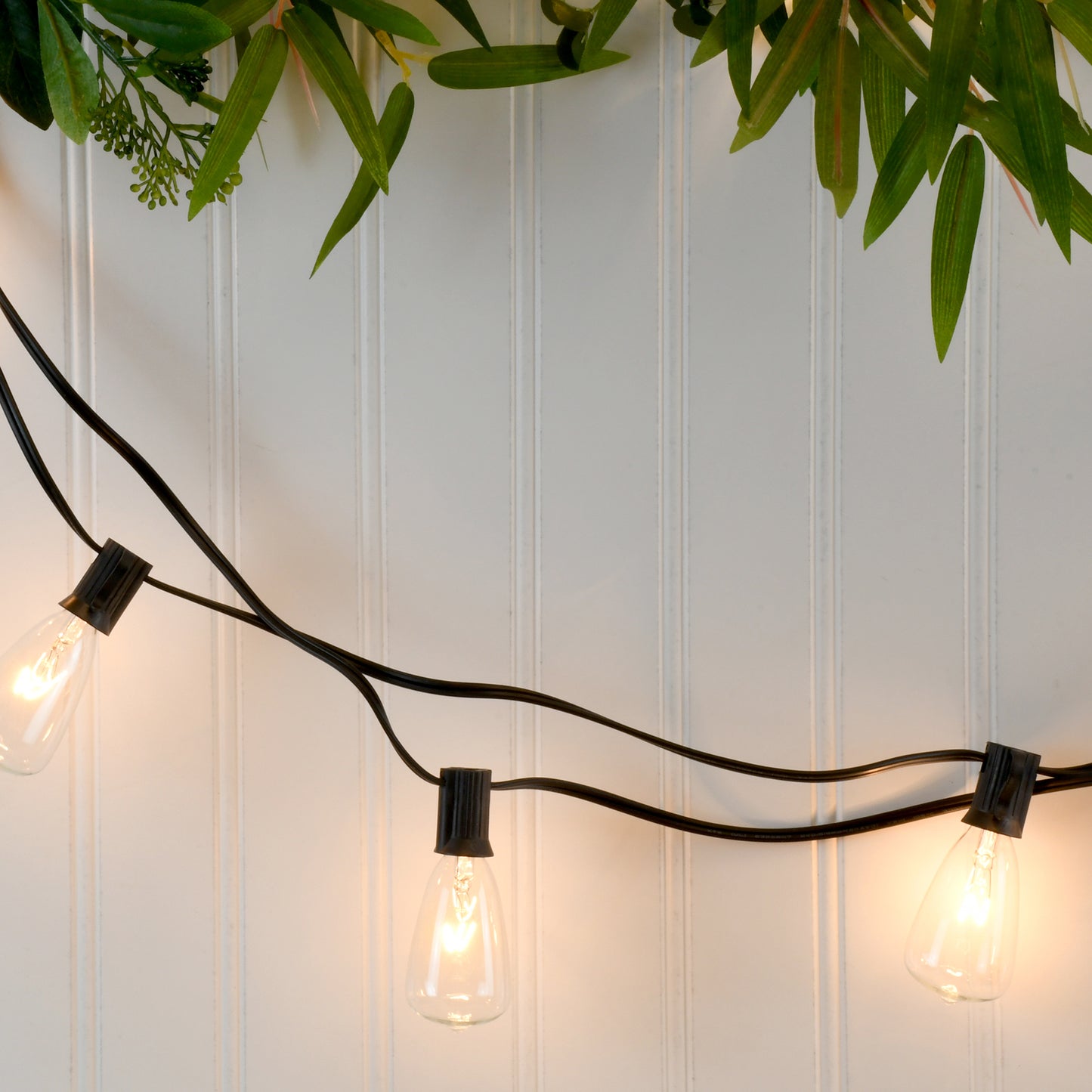 Electric String Lights with 10 Edison Bulbs