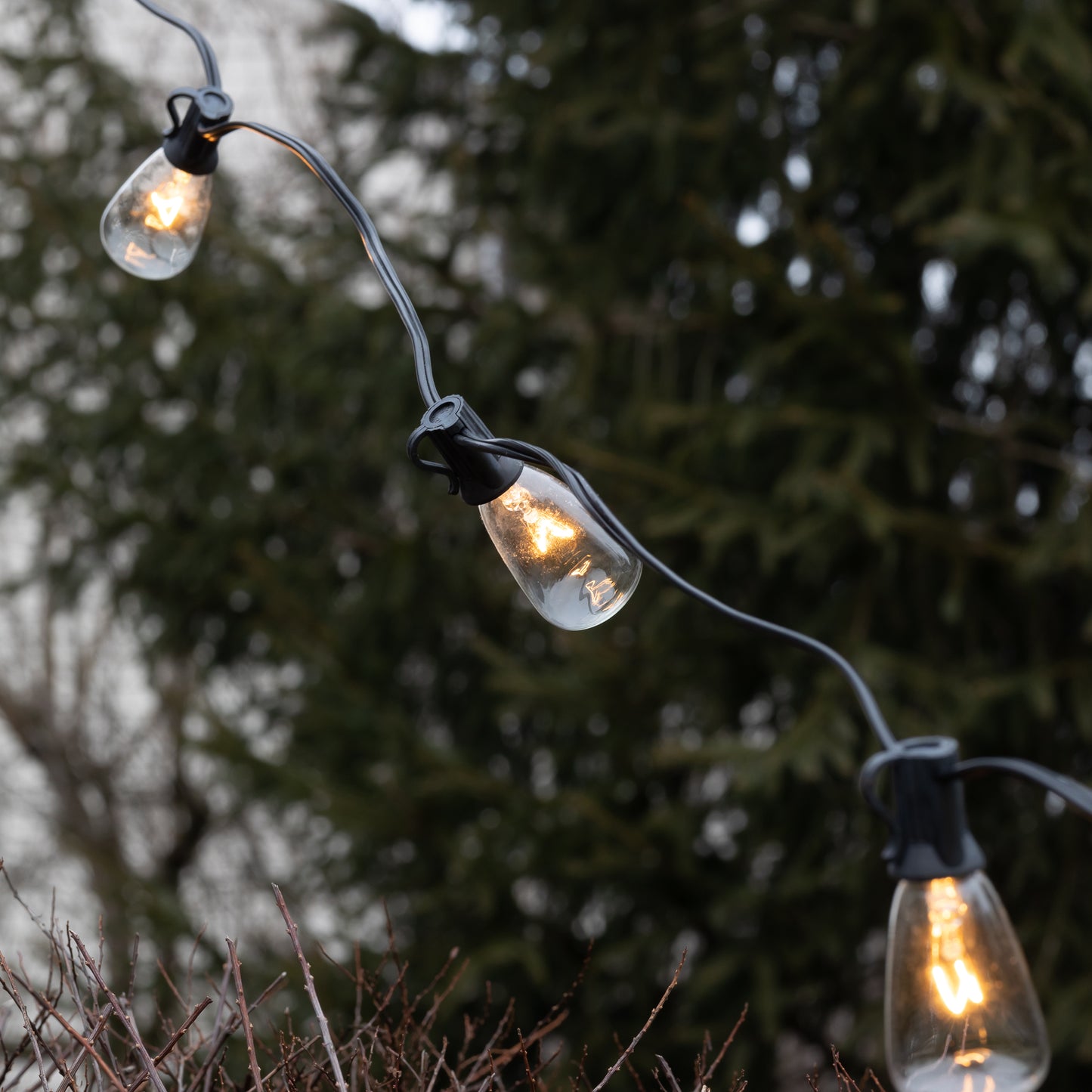 Electric String Lights with 10 Edison Bulbs