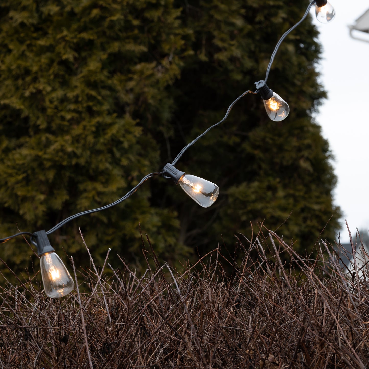 Electric String Lights with 10 Edison Bulbs