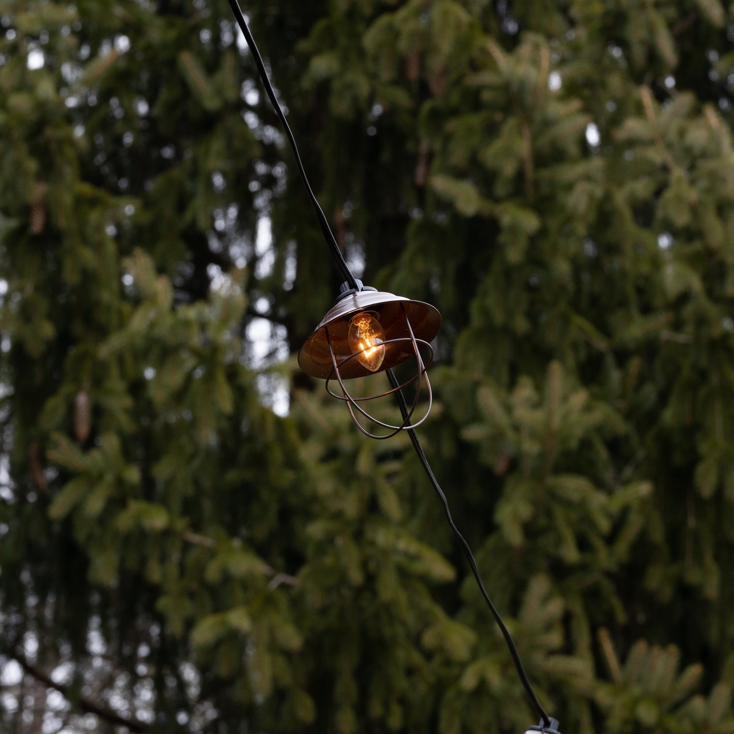 Electric Café String Lights with 10 Bronze Metal Shades