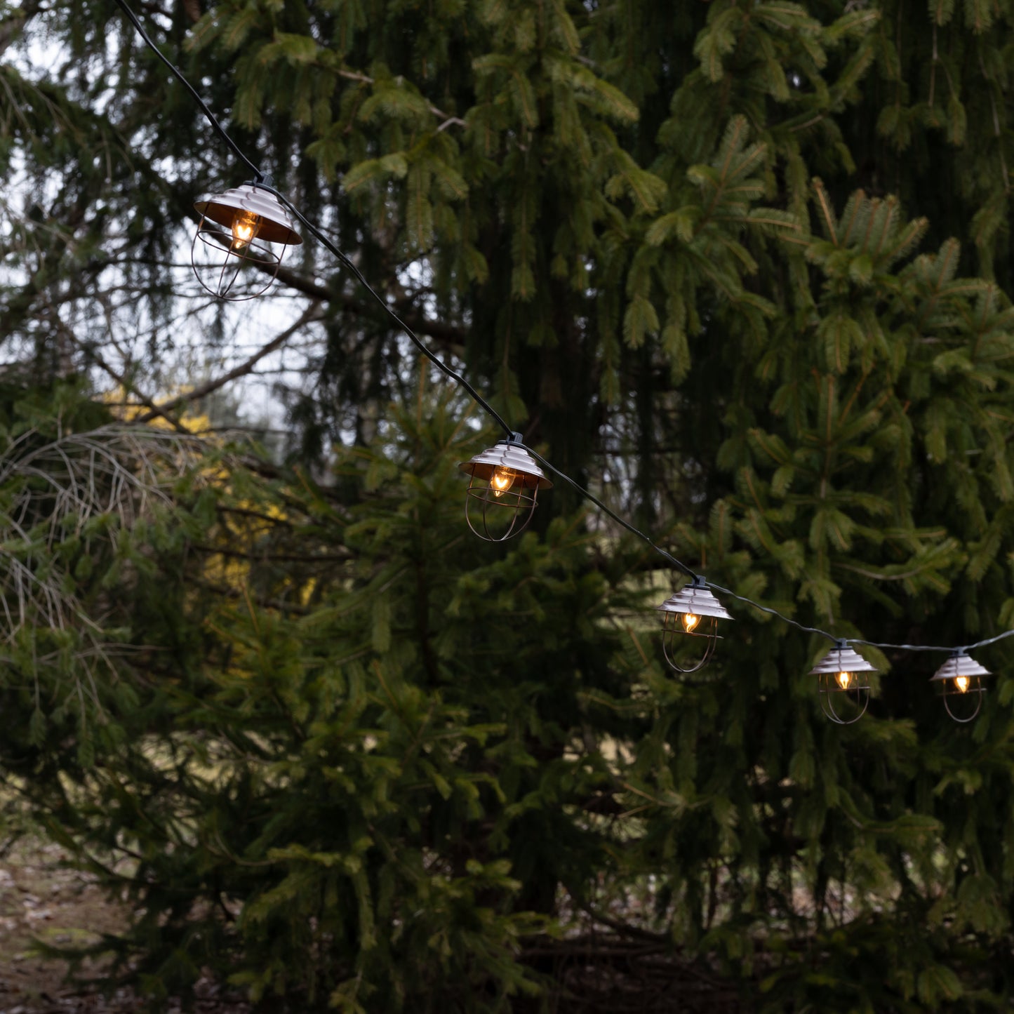 Electric Café String Lights with 10 Bronze Metal Shades