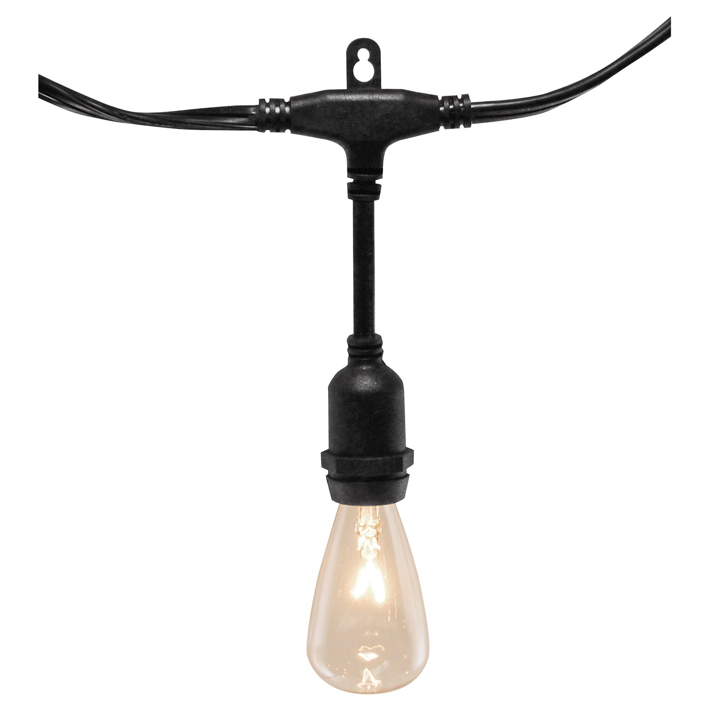 Electric Commercial-Grade String Lights with 12 Edison Bulbs