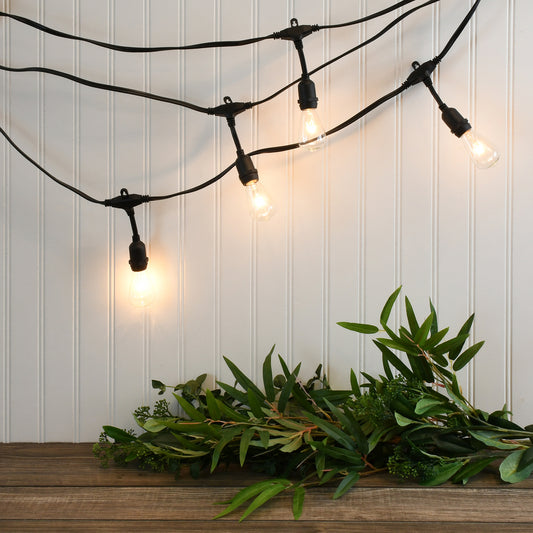 Electric Commercial-Grade String Lights with 12 Edison Bulbs