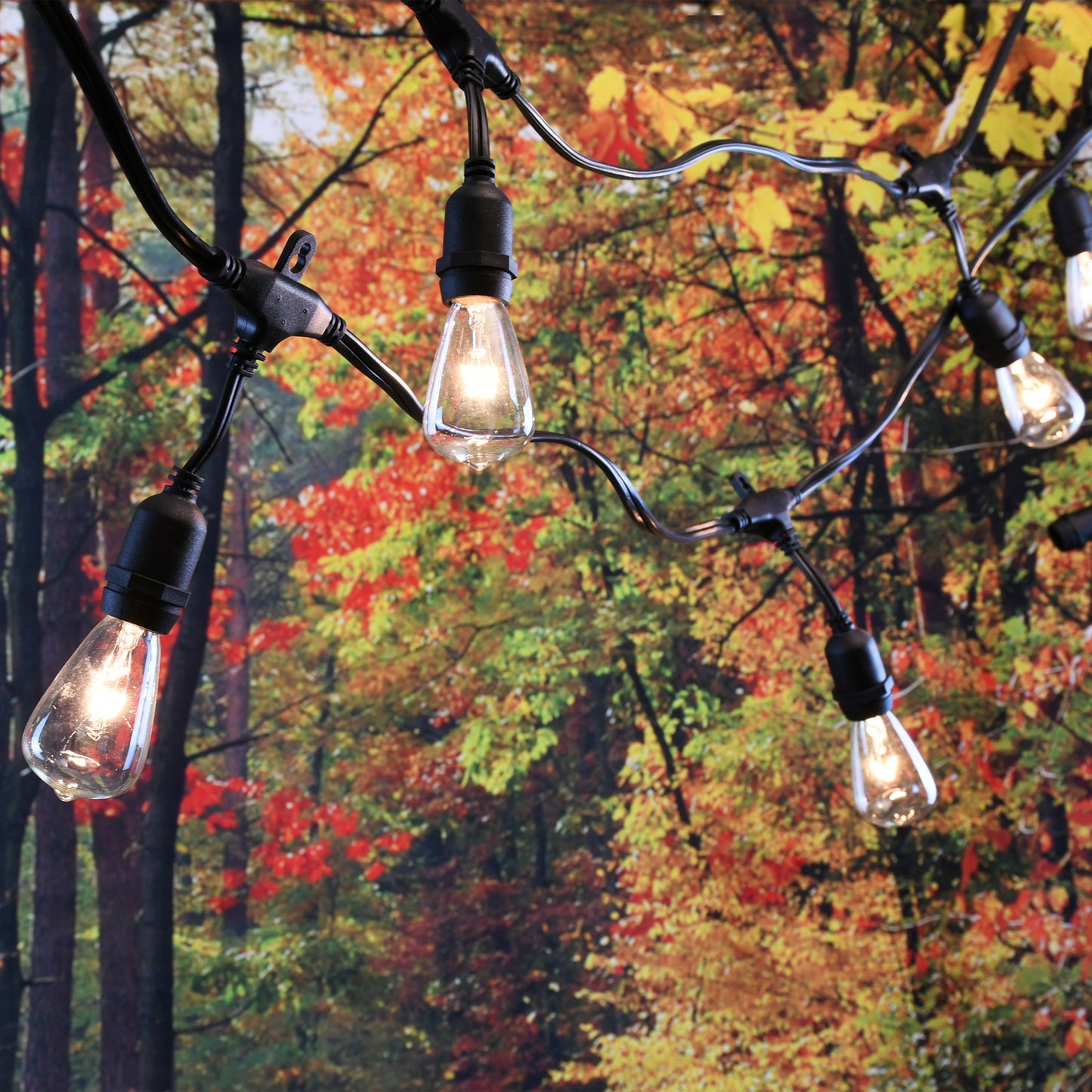 Electric Commercial-Grade String Lights with 12 Edison Bulbs