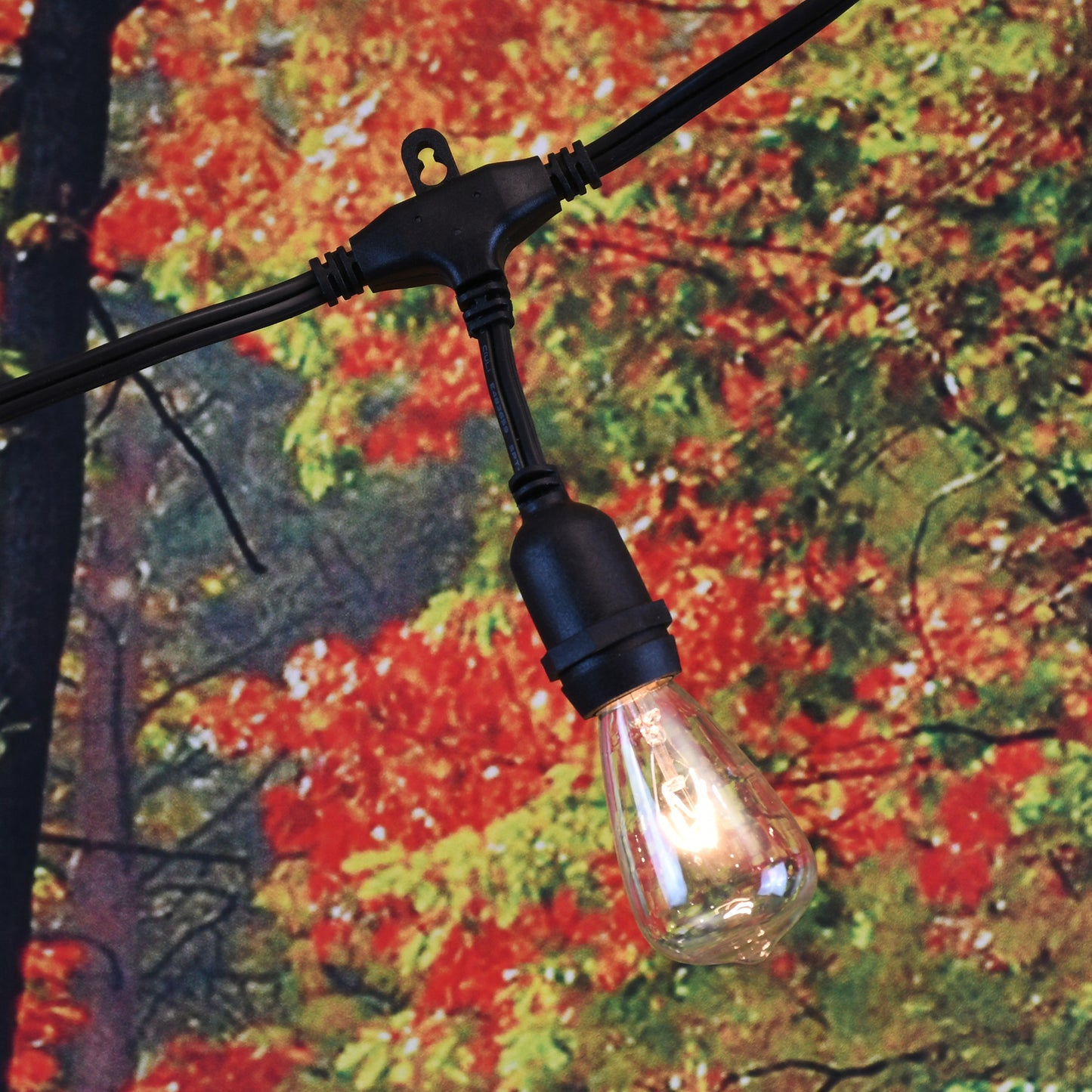 Electric Commercial-Grade String Lights with 12 Edison Bulbs