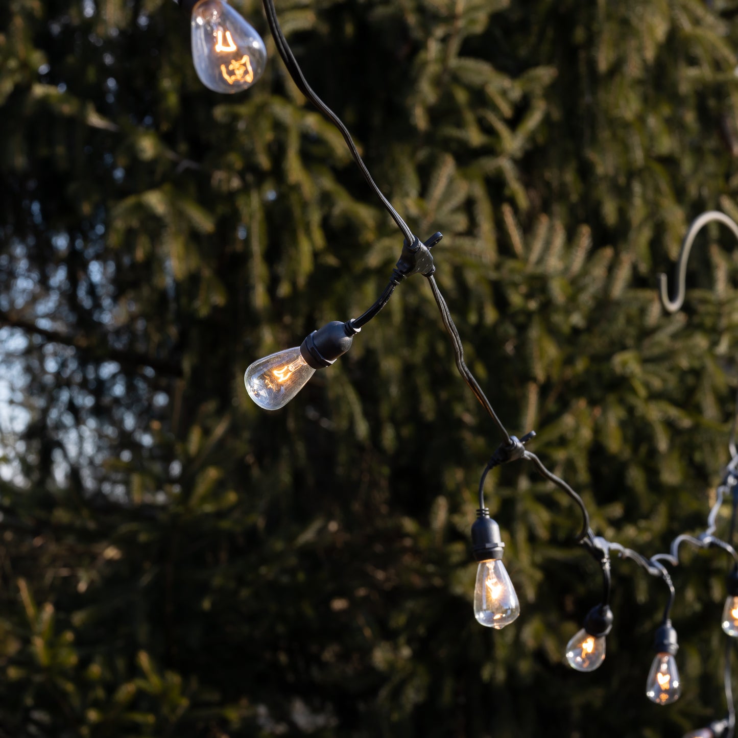 Electric Commercial-Grade String Lights with 12 Edison Bulbs