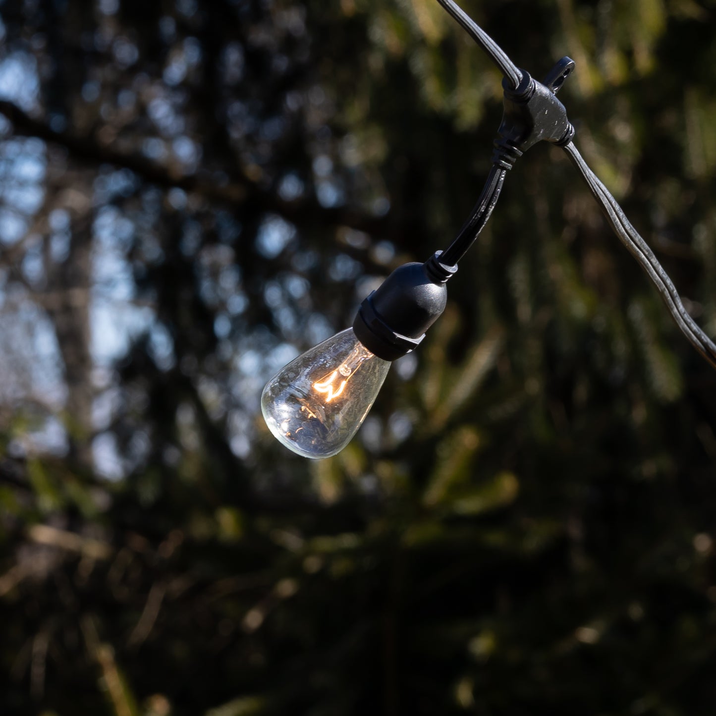 Electric Commercial-Grade String Lights with 12 Edison Bulbs