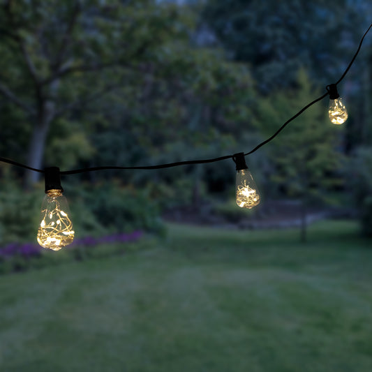 Electric Edison String Lights with Warm White Fairy Lights