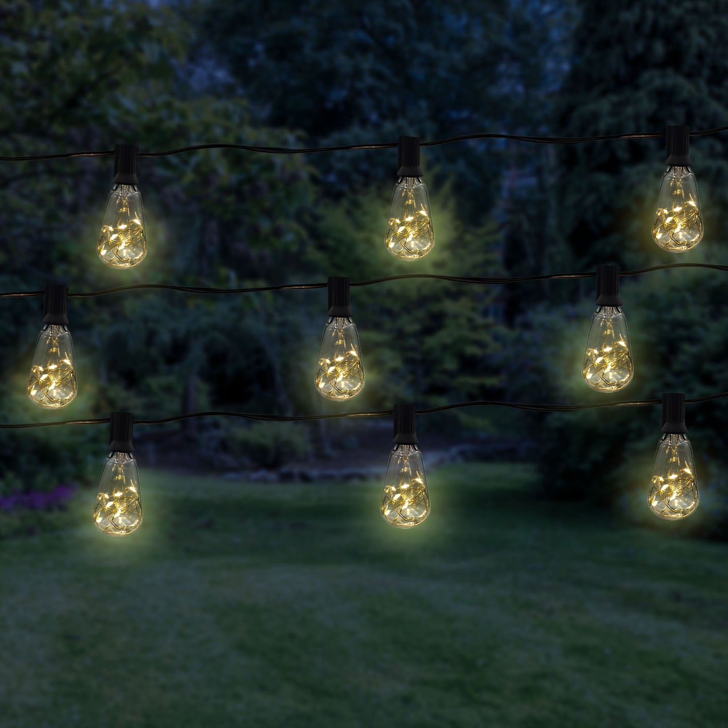 Electric Edison String Lights with Warm White Fairy Lights