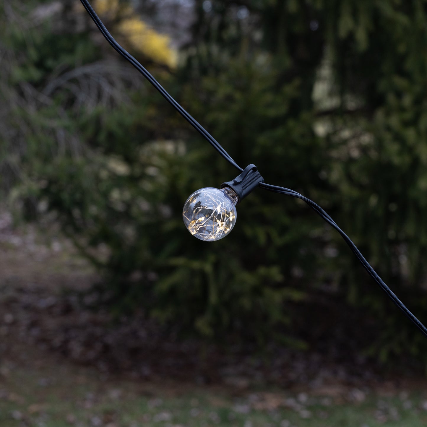 Electric Globe String Lights with Soft White Fairy Lights