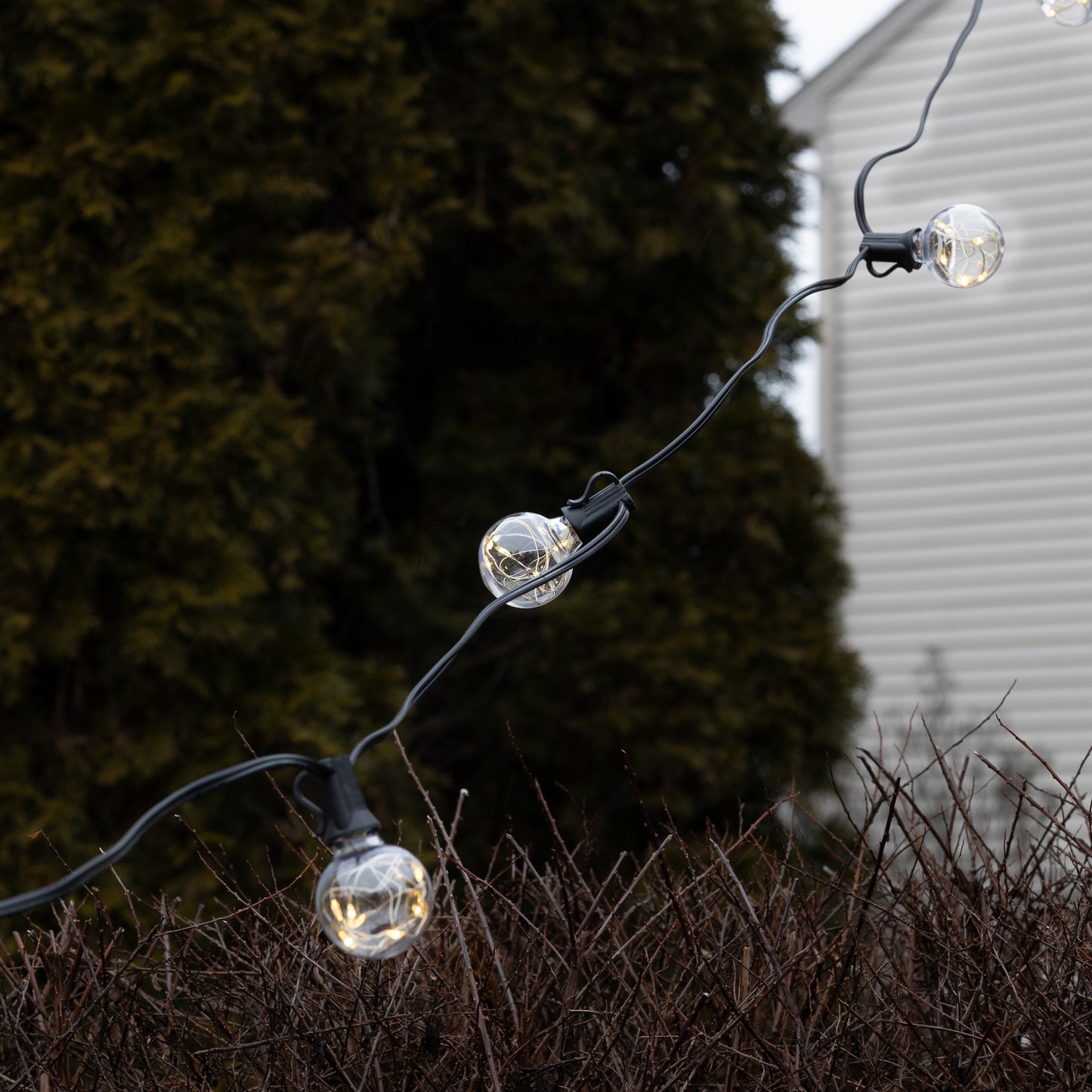 Electric Globe String Lights with Soft White Fairy Lights