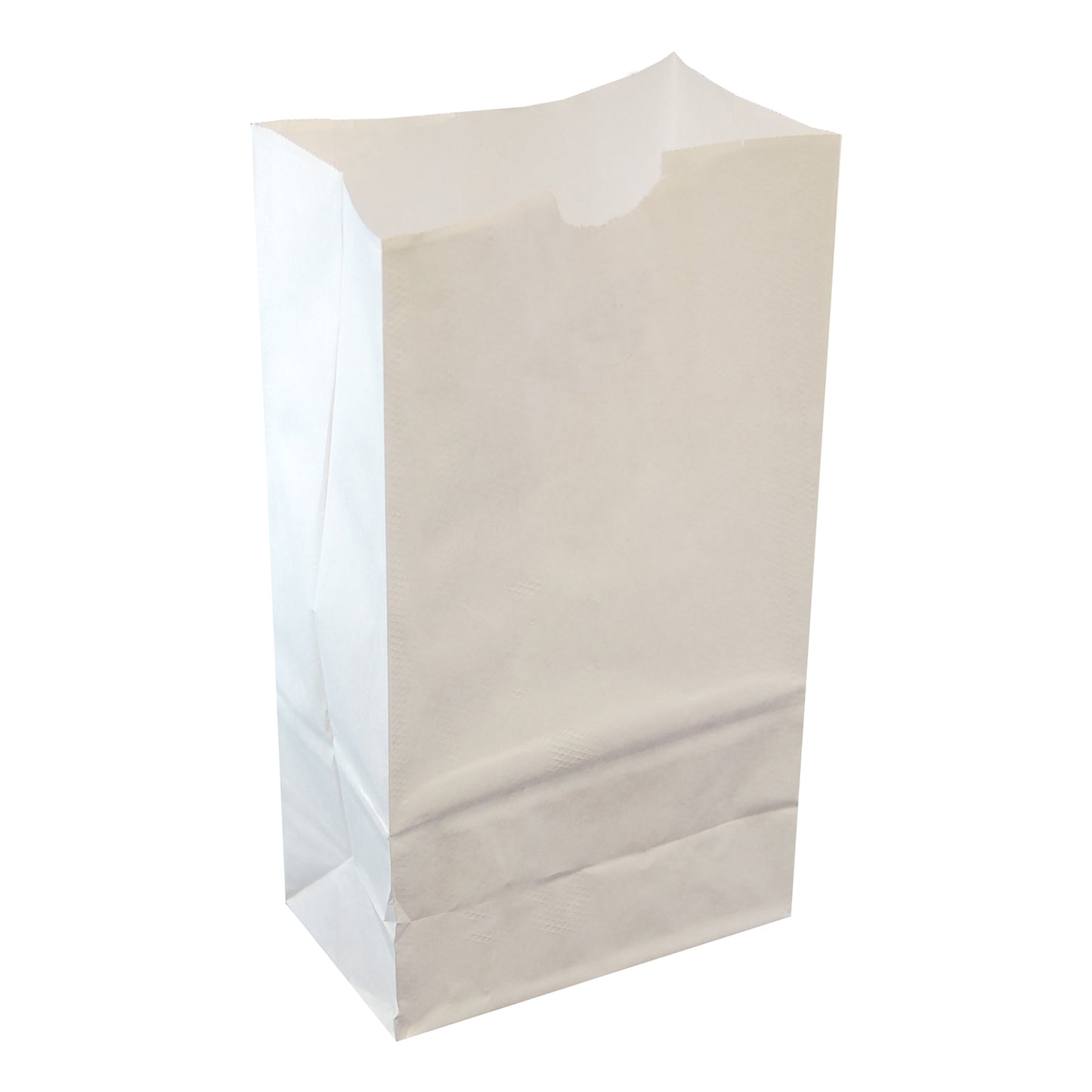 Luminaria Paper Bag - White - 24 count