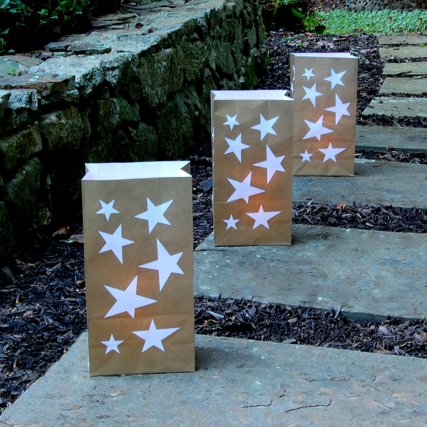 Paper Luminaria Bags - Set of 24