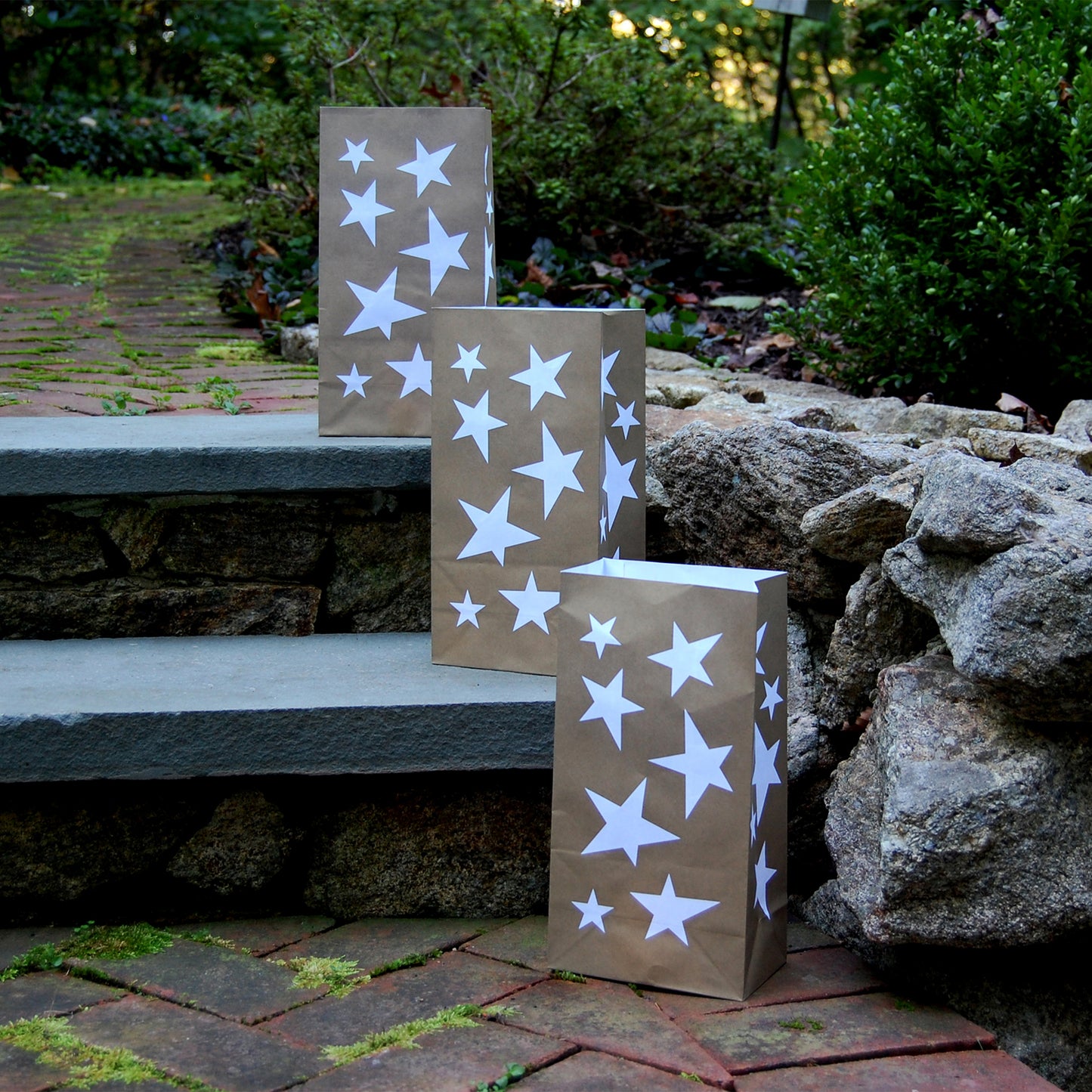 Paper Luminaria Bags - Set of 24