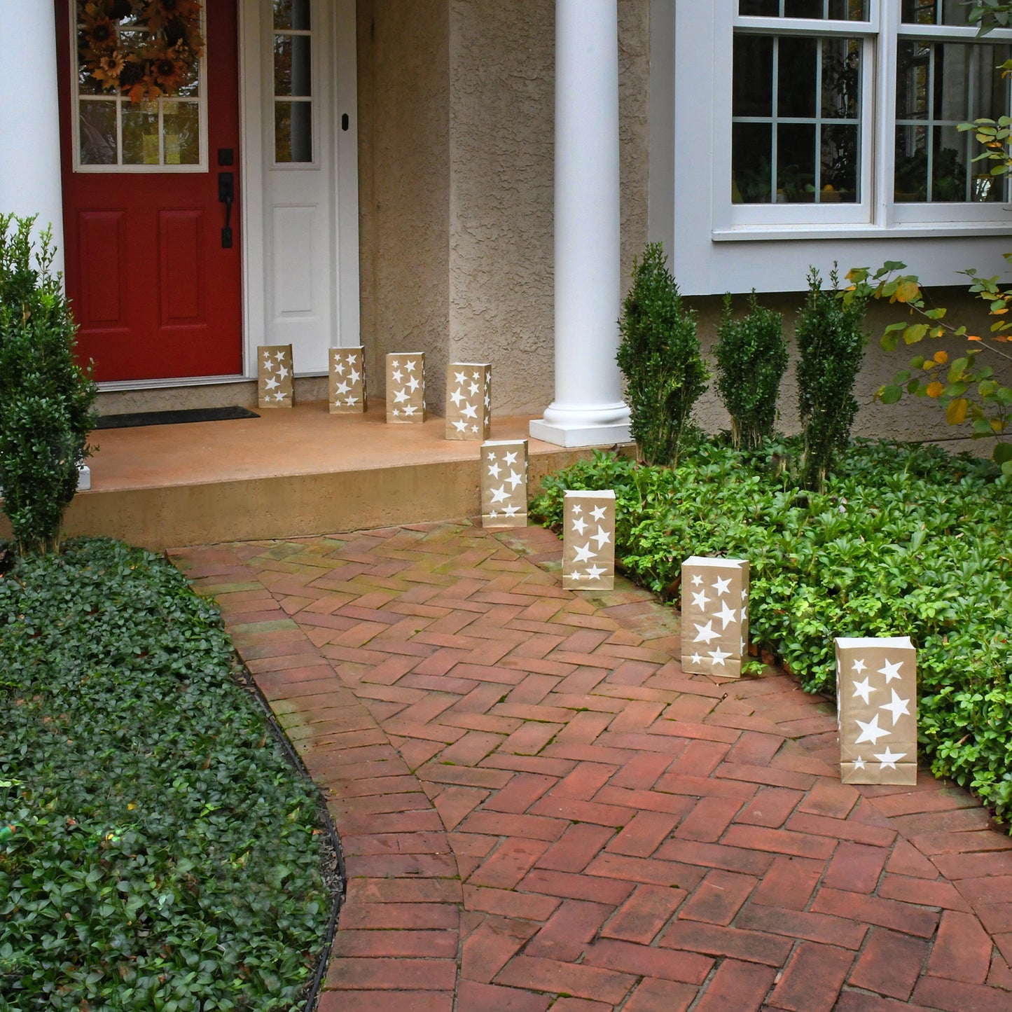 Paper Luminaria Bags - Set of 24