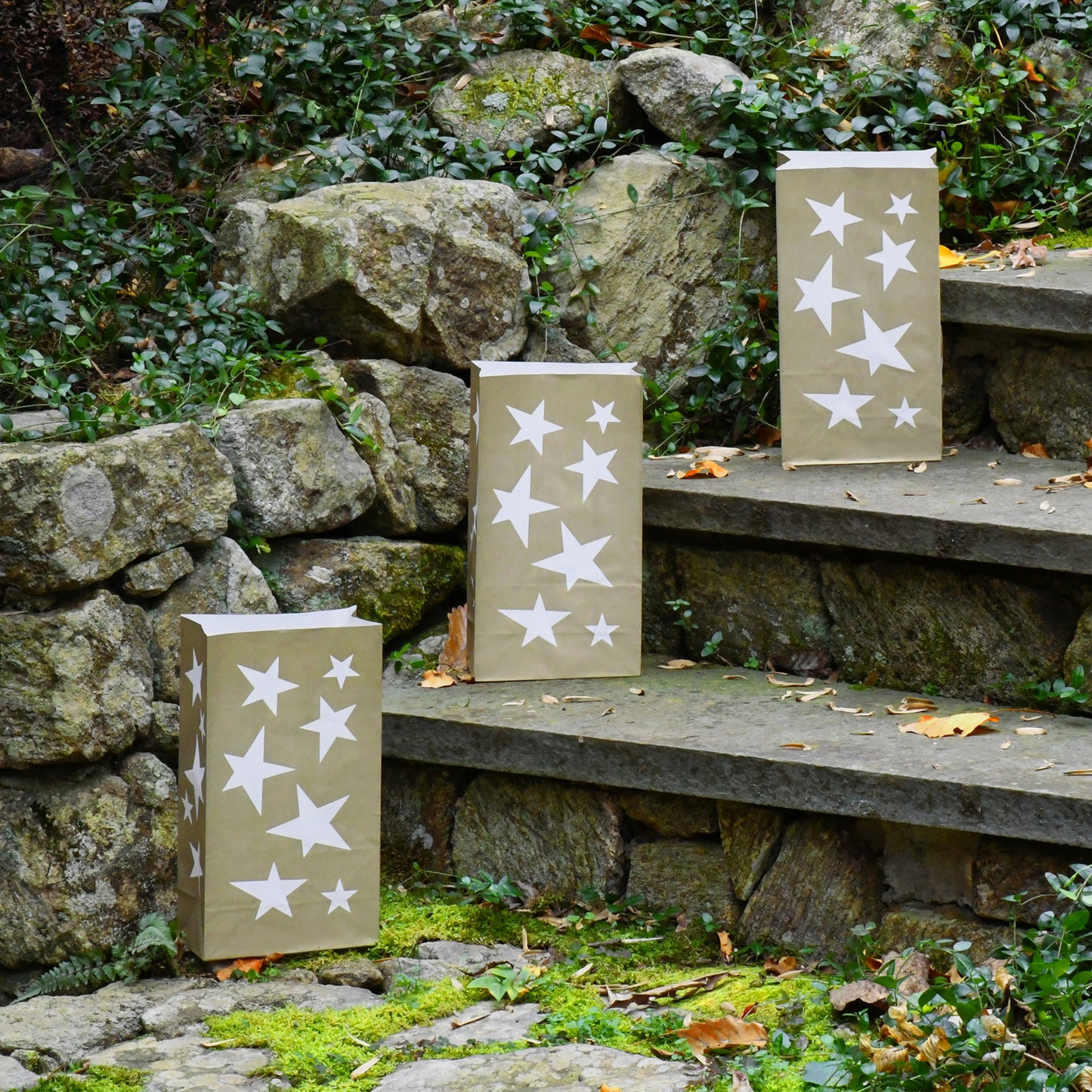 Paper Luminaria Bags - Set of 24