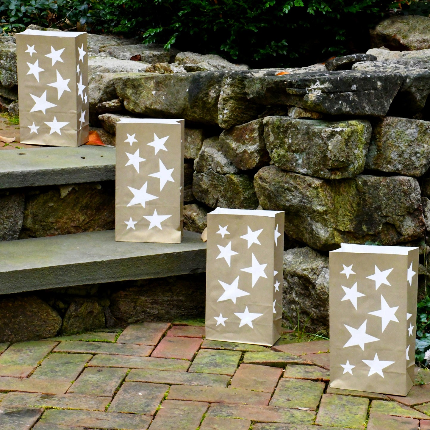 Paper Luminaria Bags - Set of 24