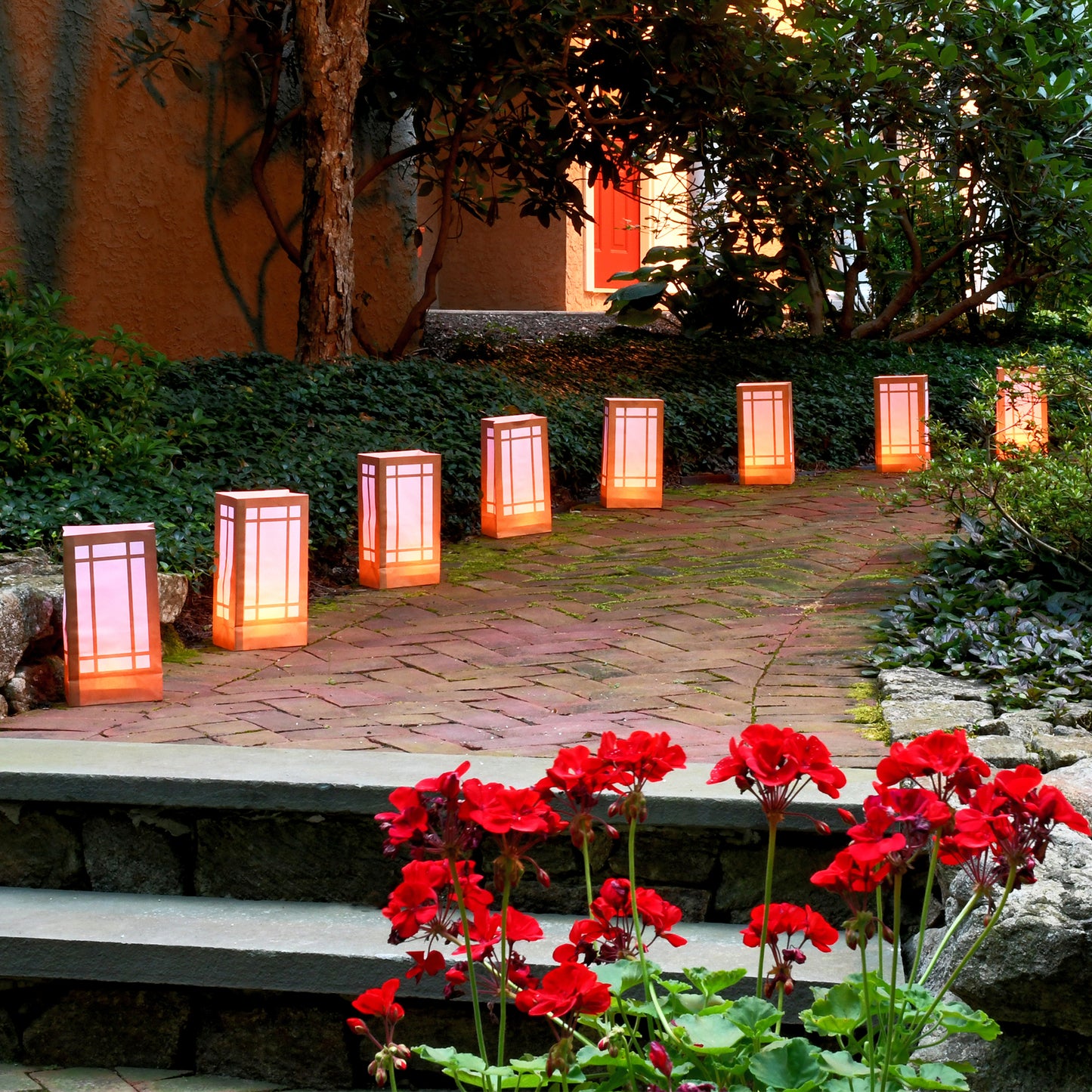 Paper Luminaria Bags - Set of 24