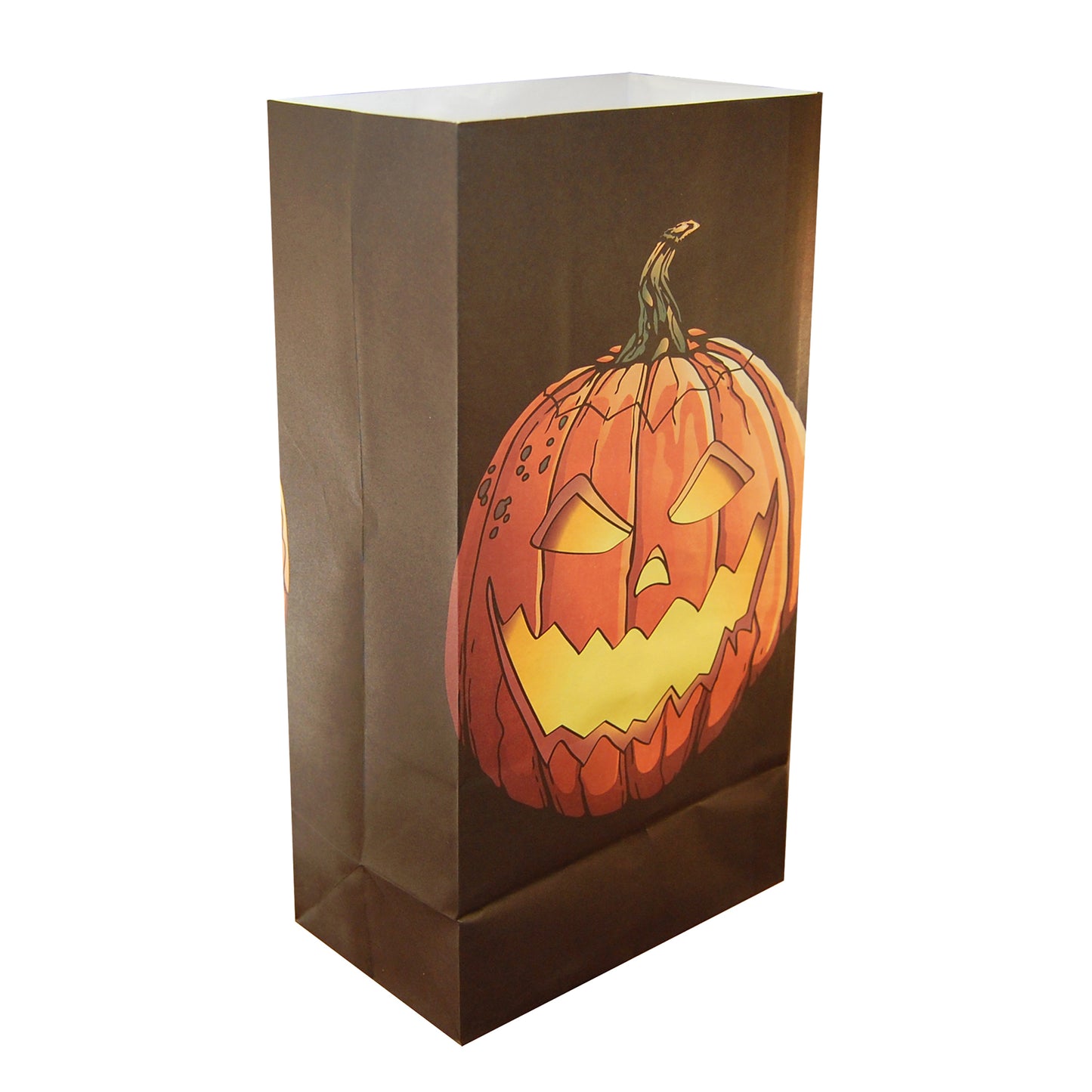 Paper Luminaria Bags - Set of 24