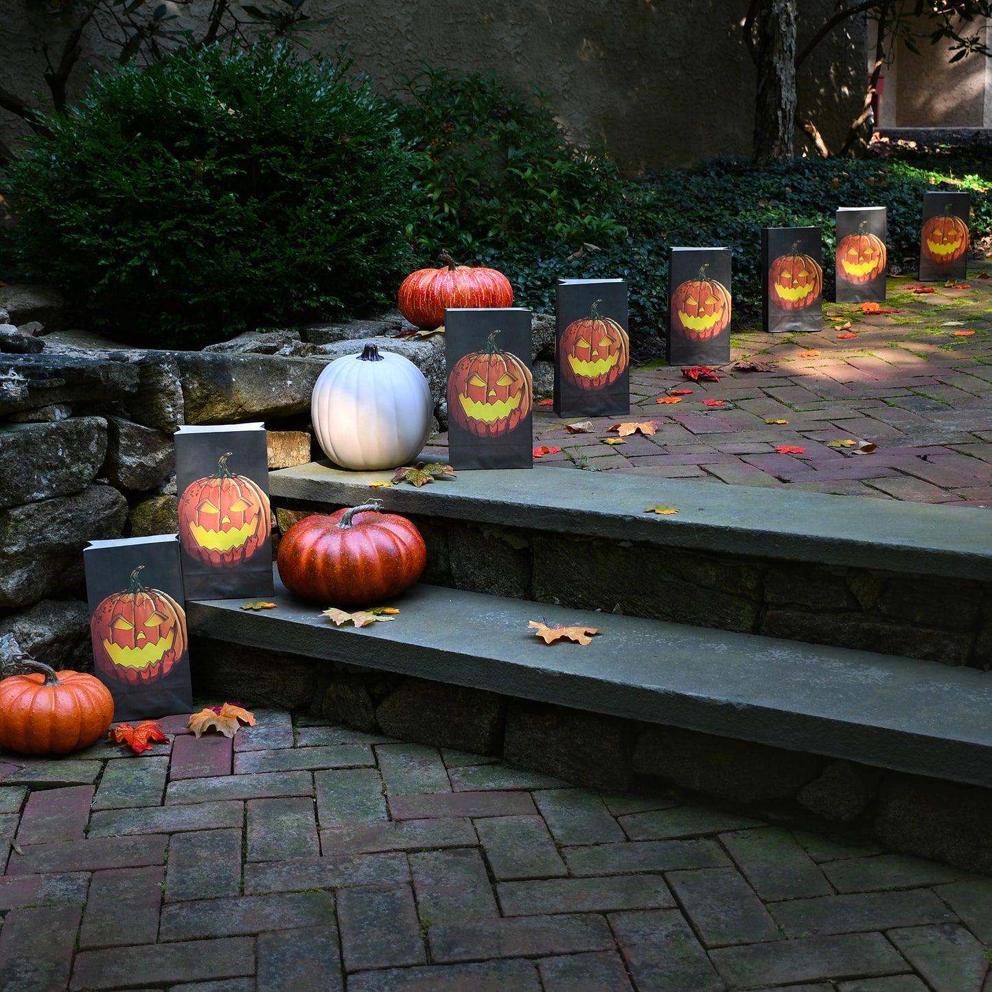 Paper Luminaria Bags - Set of 24