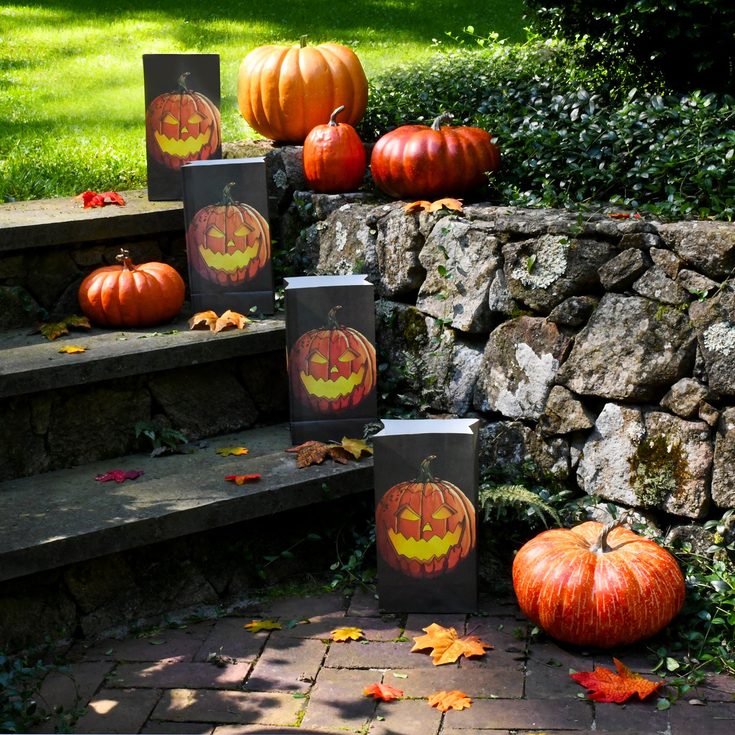 Paper Luminaria Bags - Set of 24