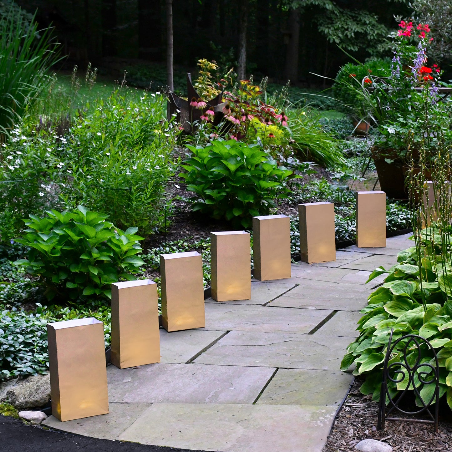 Paper Luminaria Bags - Set of 24