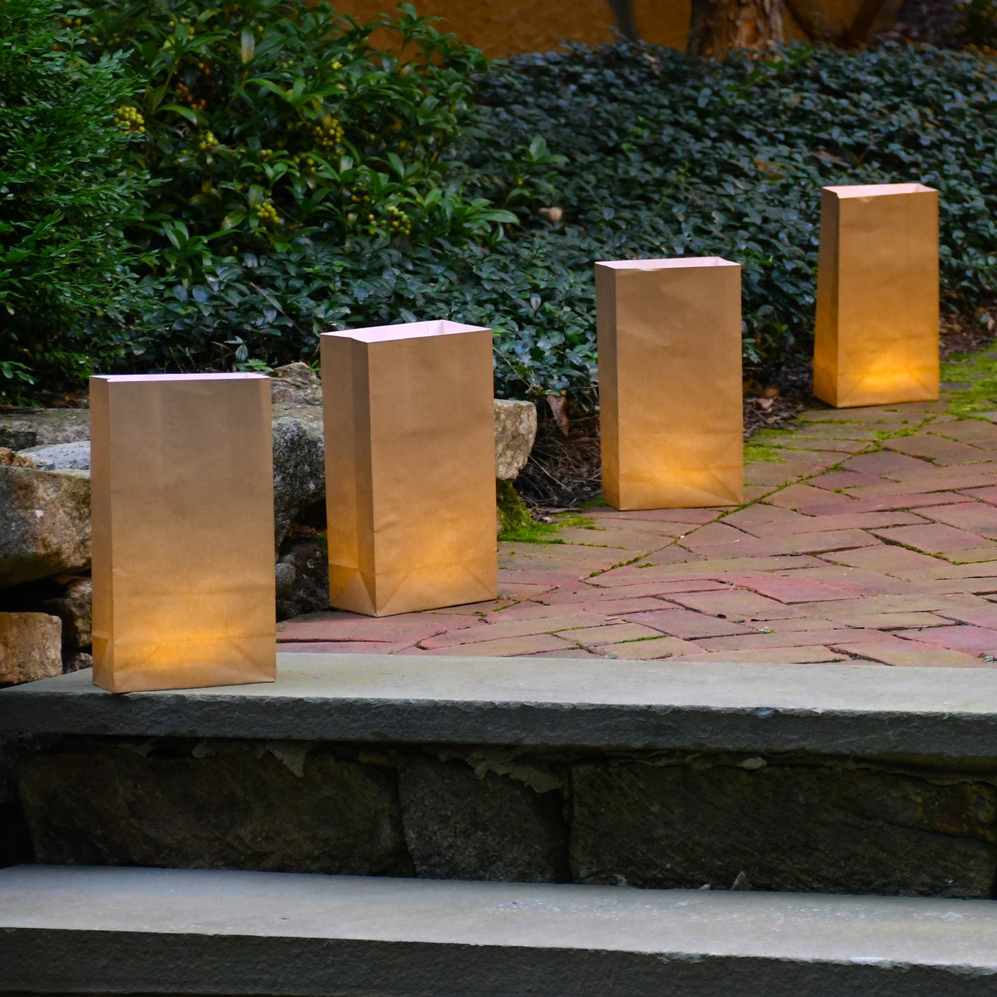 Paper Luminaria Bags - Set of 24