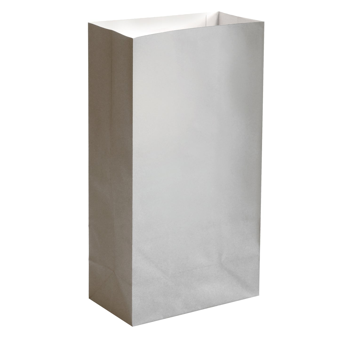 Paper Luminaria Bags - Set of 24