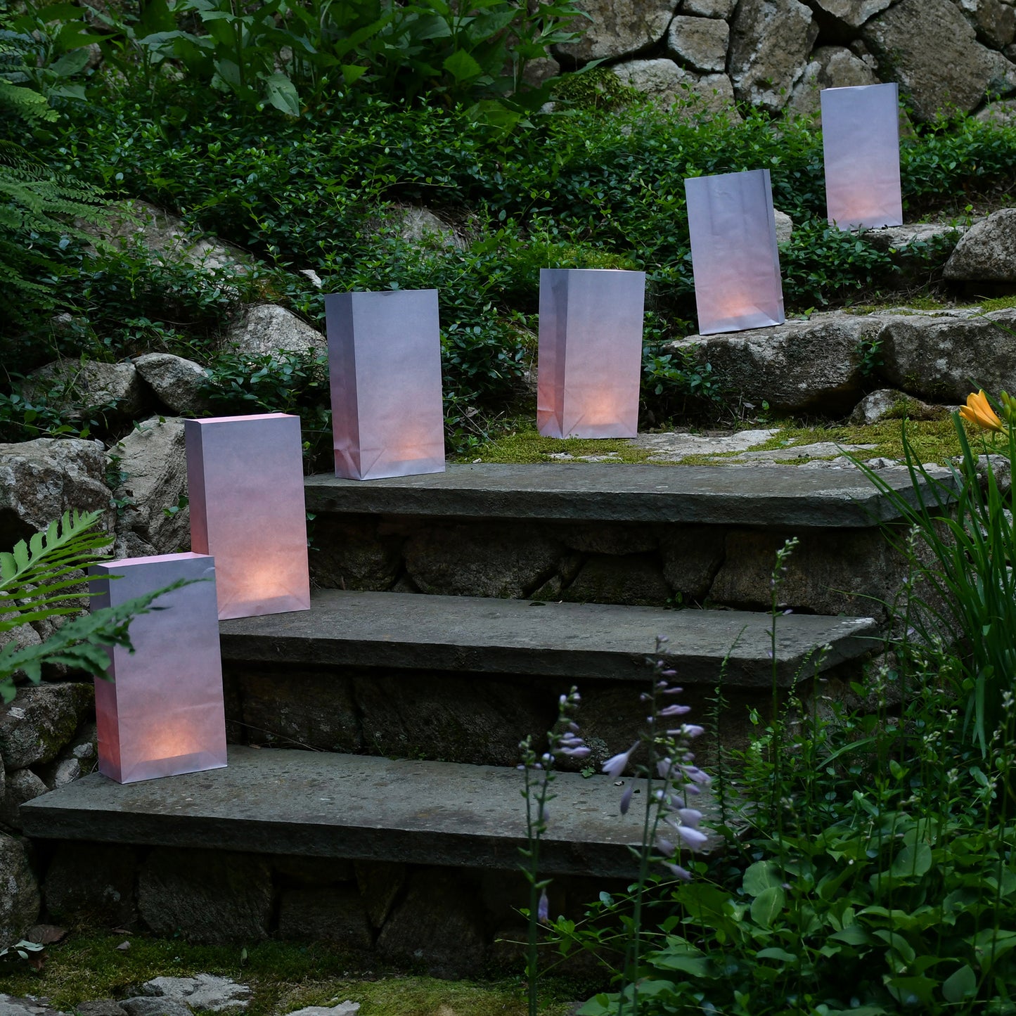 Paper Luminaria Bags - Set of 24