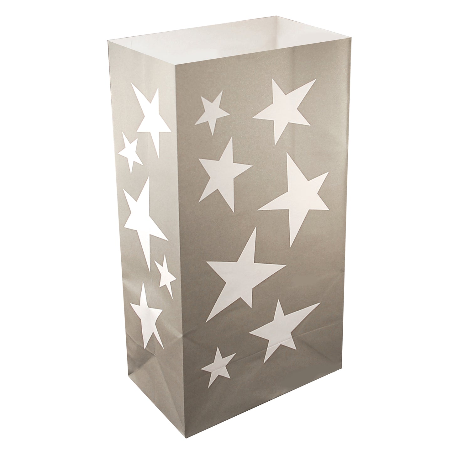 Paper Luminaria Bags - Set of 24