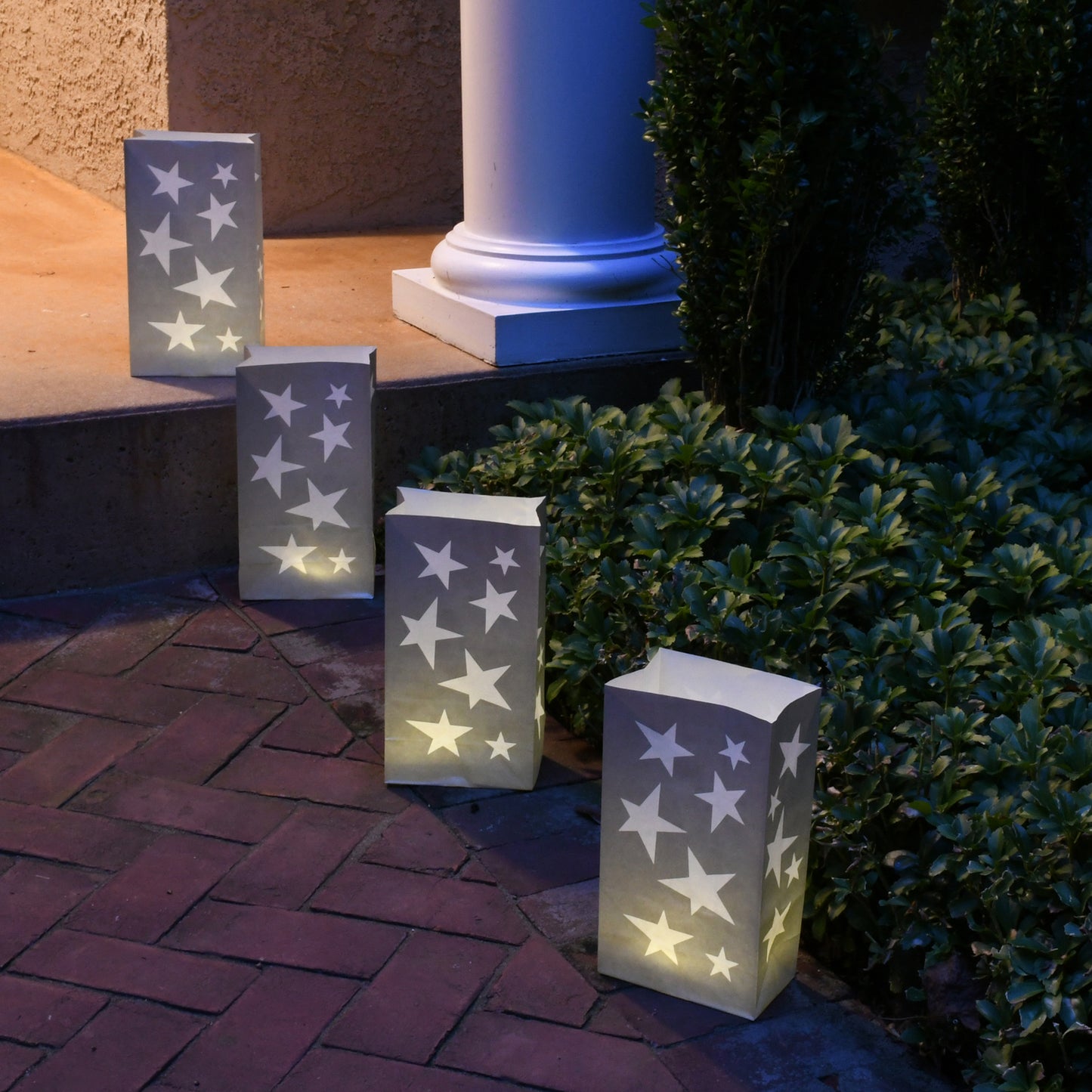 Paper Luminaria Bags - Set of 24