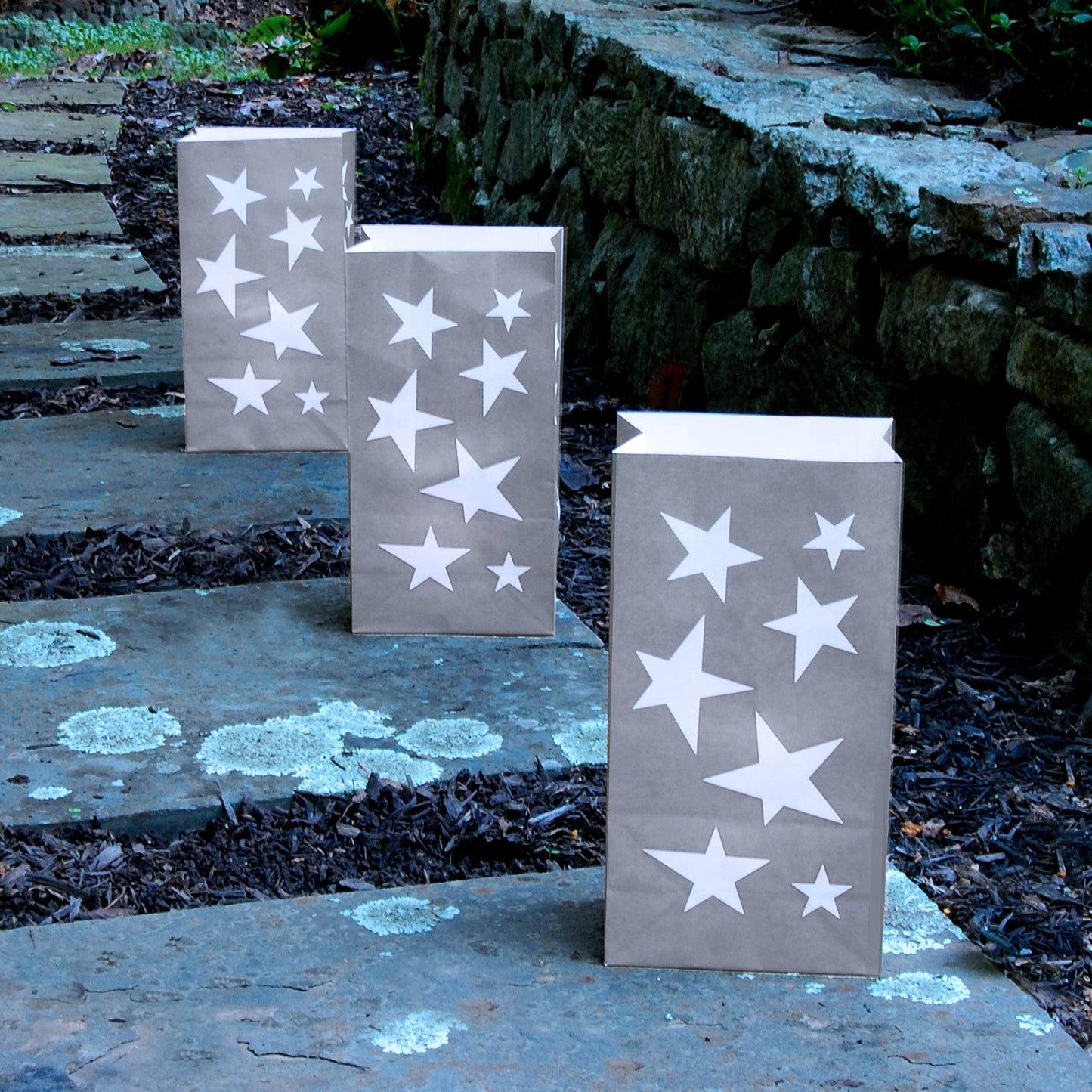 Paper Luminaria Bags - Set of 24