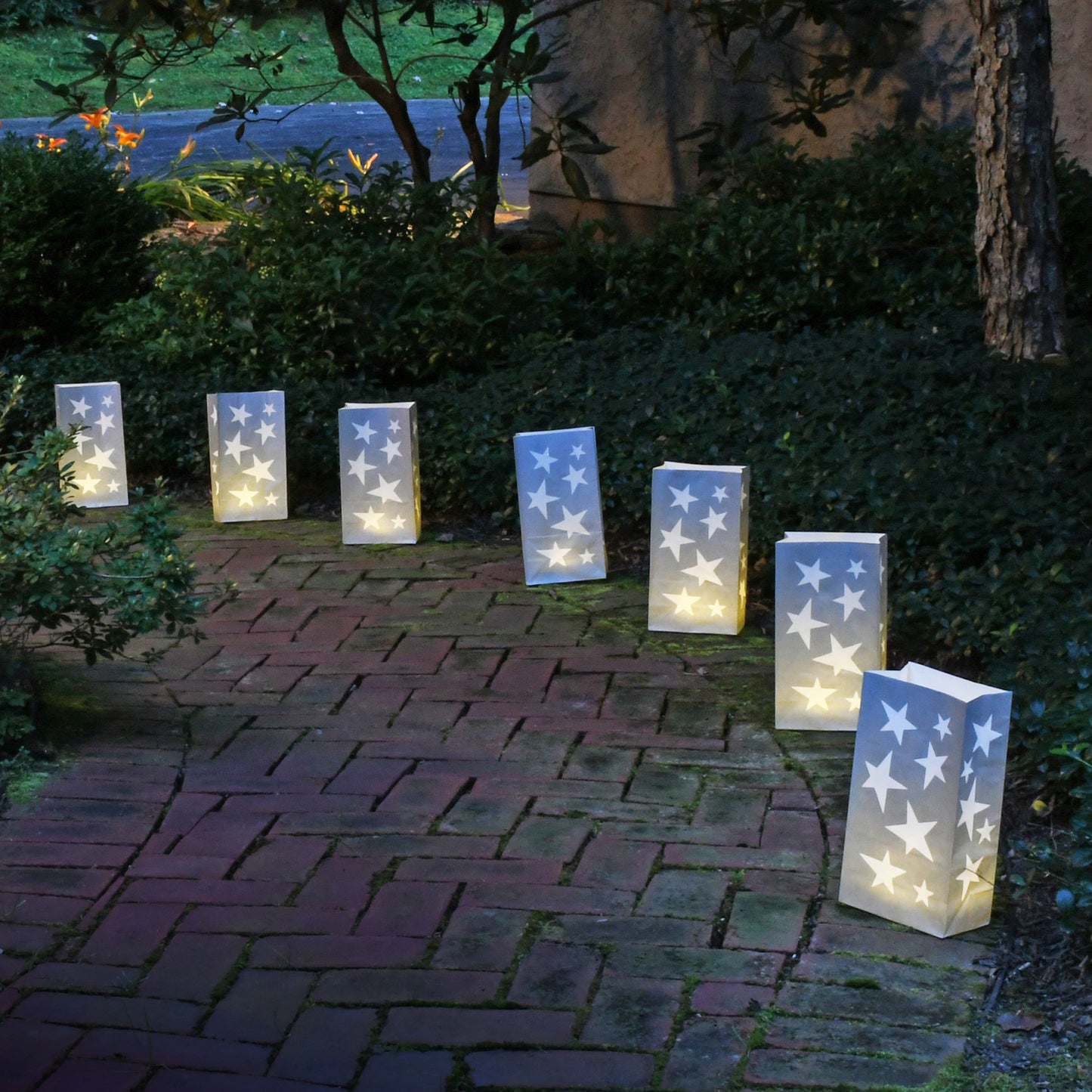 Paper Luminaria Bags - Set of 24