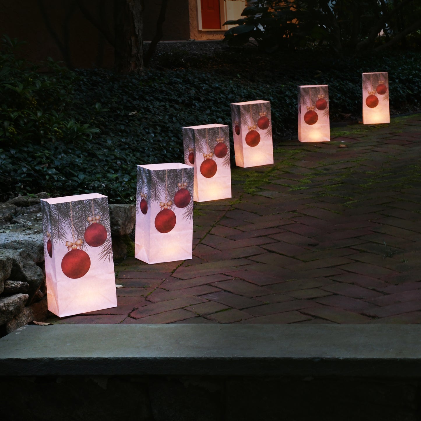 Paper Luminaria Bags - Set of 24