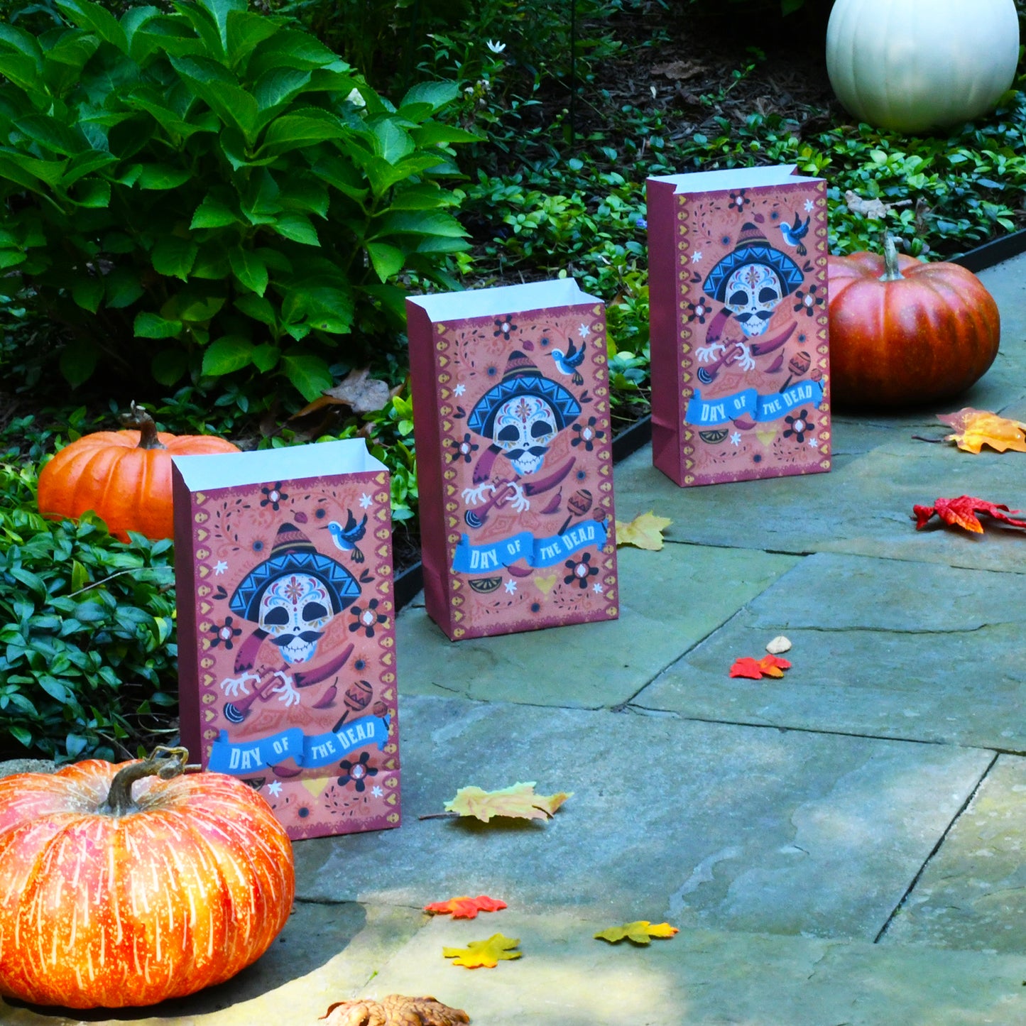 Paper Luminaria Bags - Set of 24