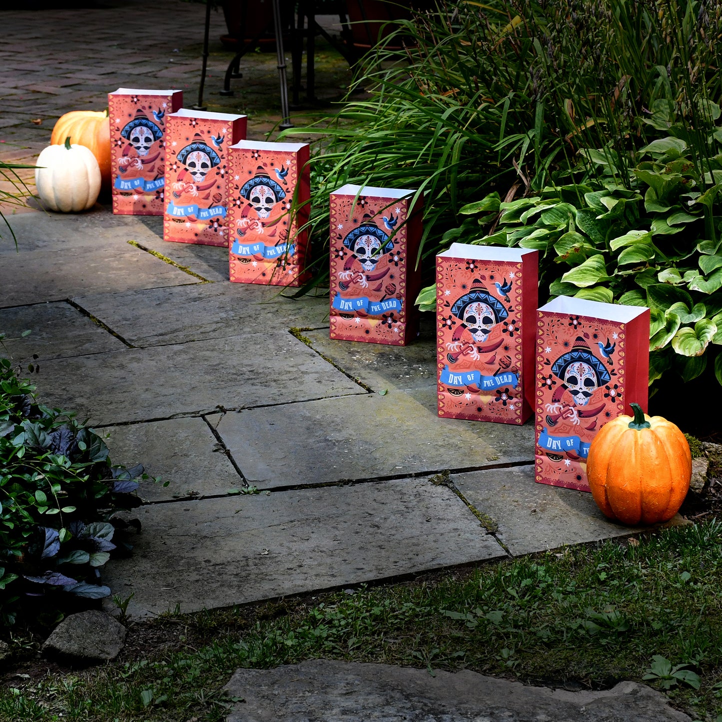Paper Luminaria Bags - Set of 24