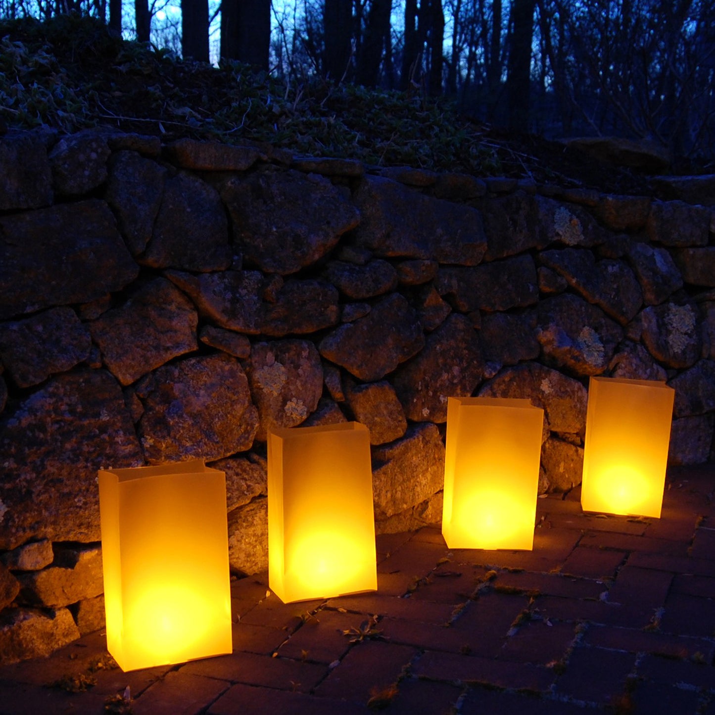 Plastic Luminaria Bags - Set of 100